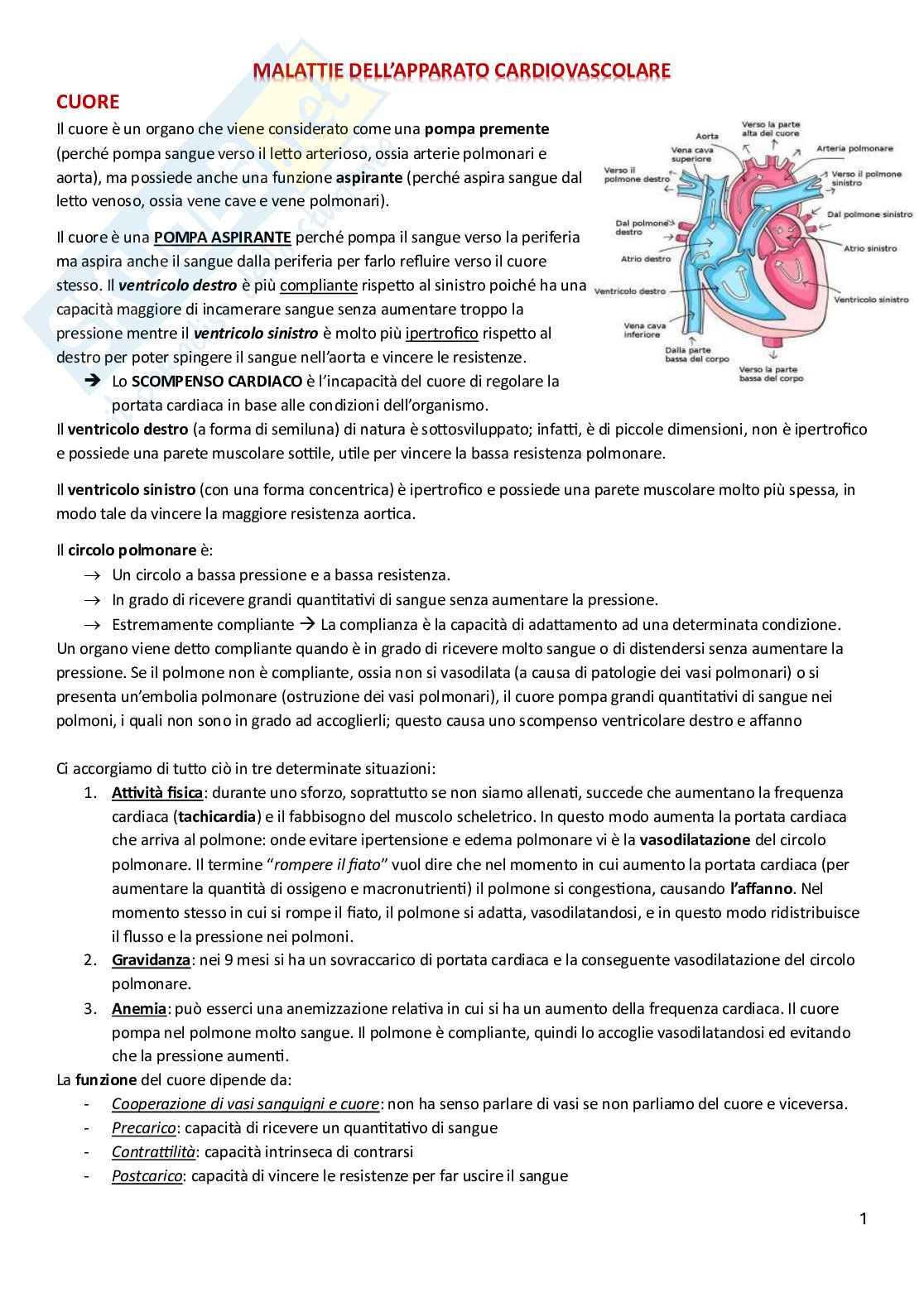 Malattie apparato cardiovascolare Pag. 1