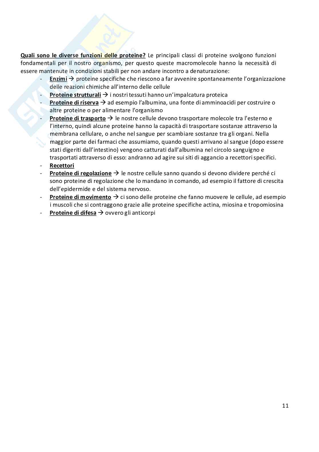 Anatomia umana  Pag. 11