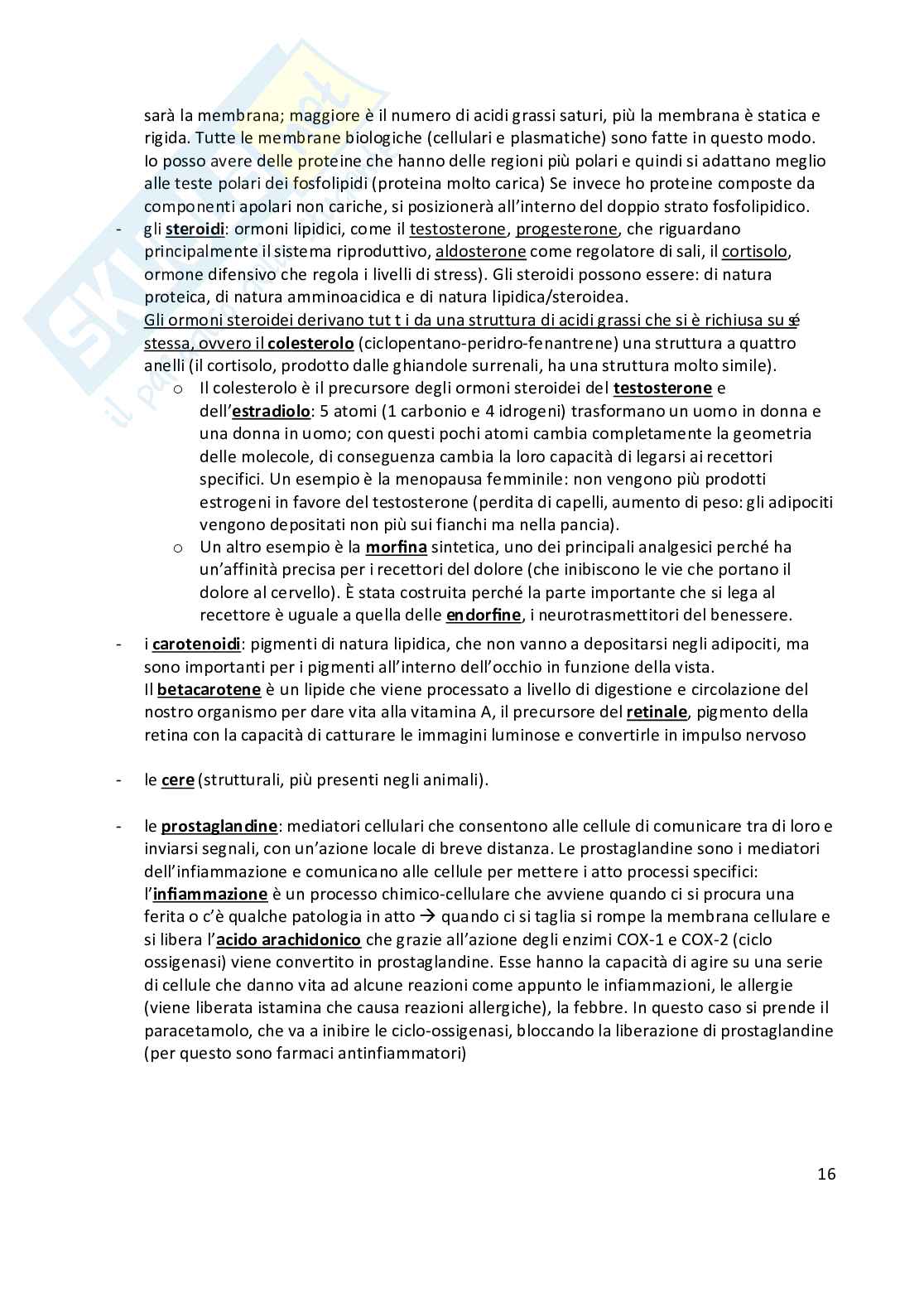 Anatomia umana  Pag. 16