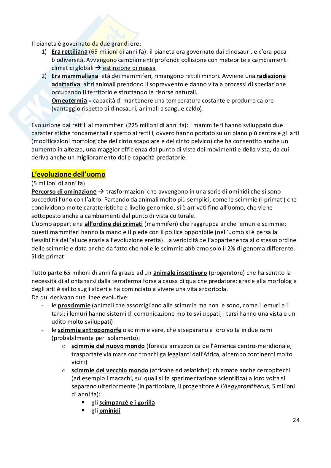 Anatomia umana  Pag. 26