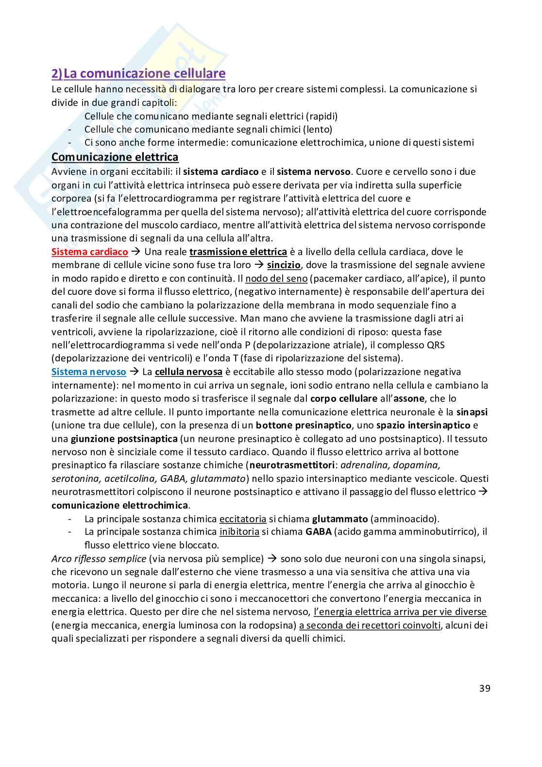 Anatomia umana  Pag. 41