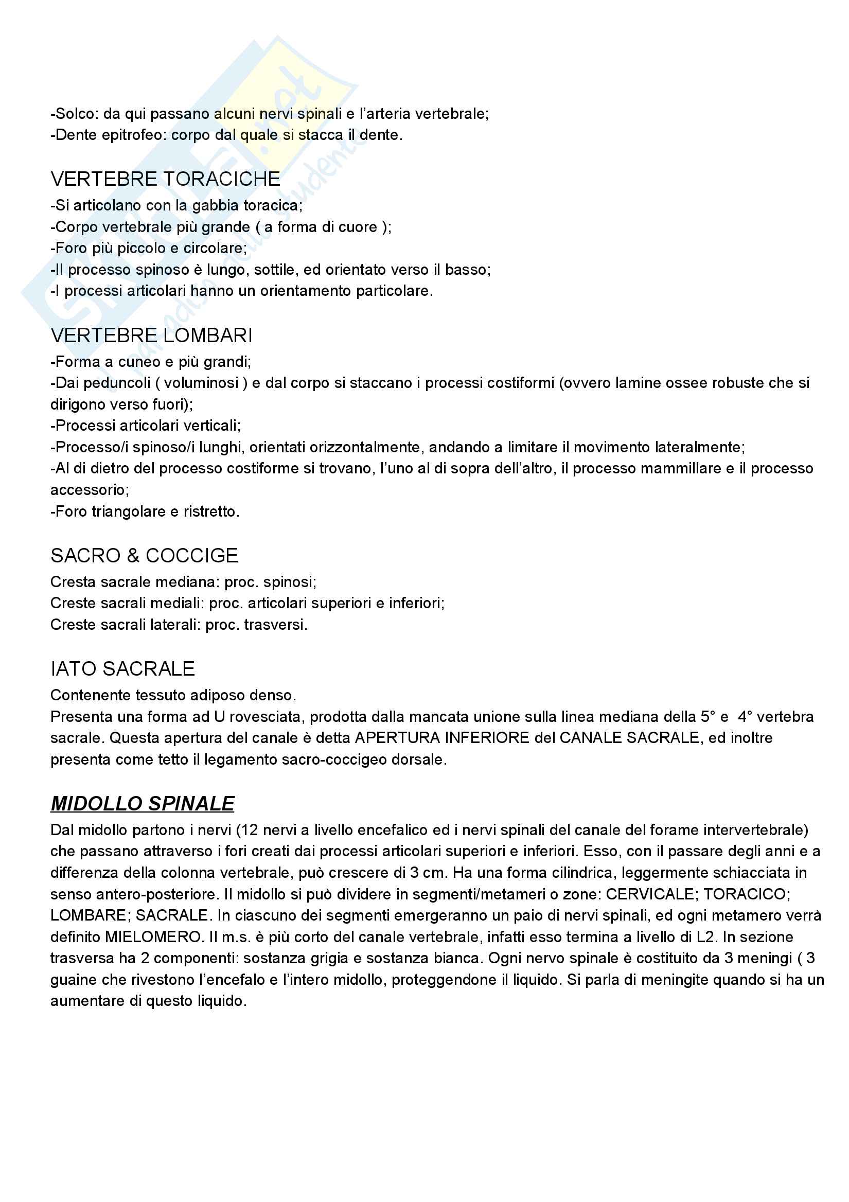 Anatomia umana Pag. 2