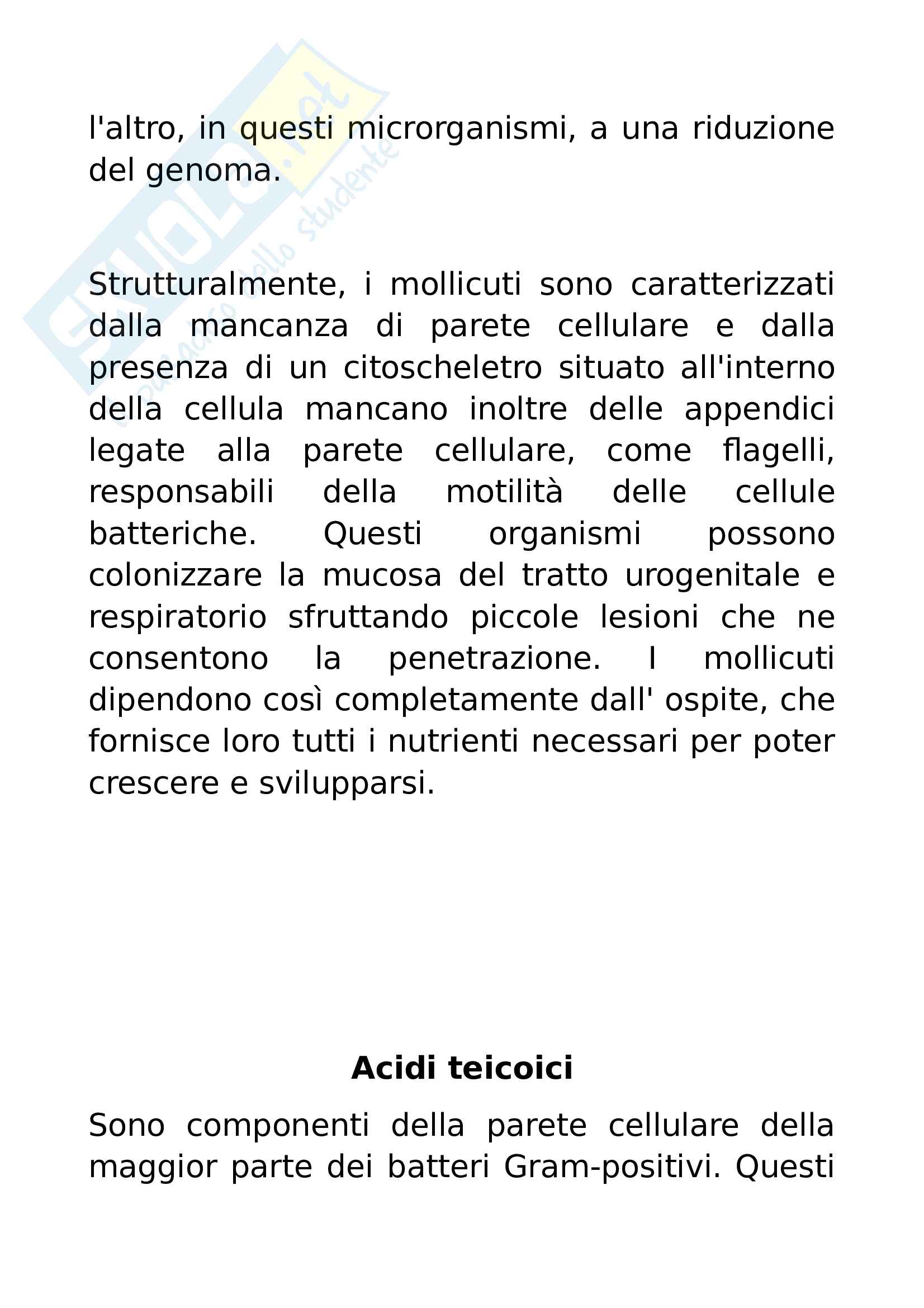 Appunti di microbiologia Pag. 16