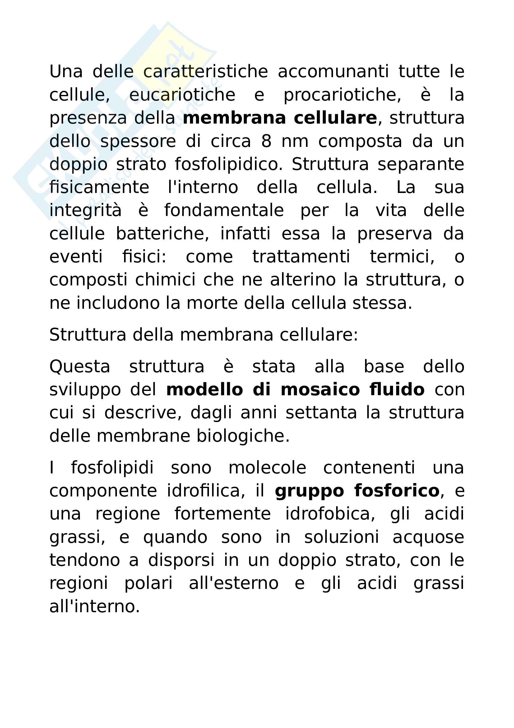 Appunti di microbiologia Pag. 6