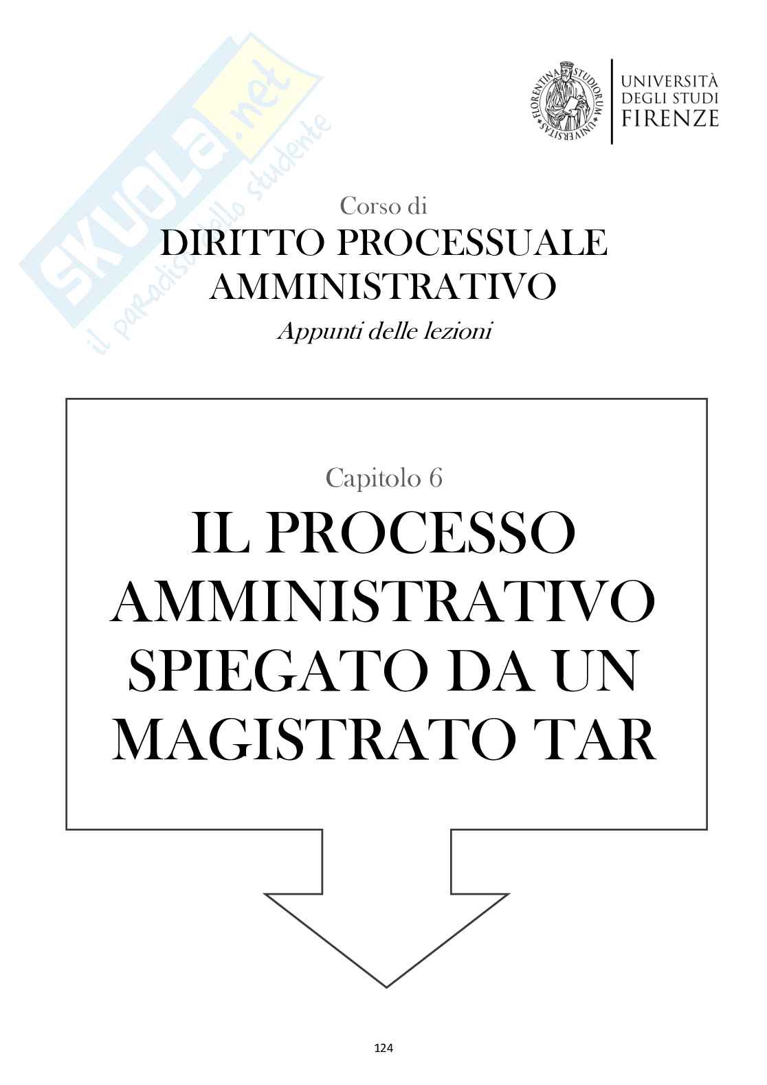 Diritto processuale amministrativo (il processo amministrativo spiegato da un magistrato TAR e i ricorsi)  Pag. 1