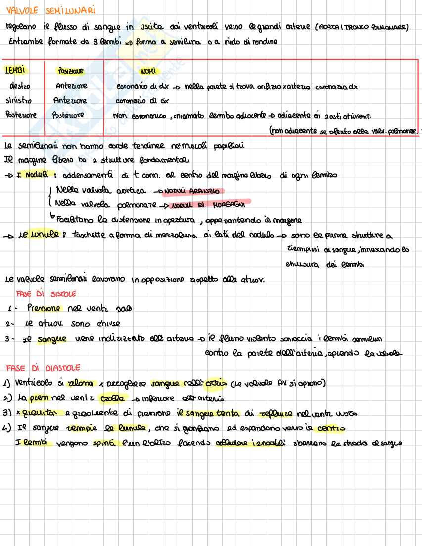 Cuore Pag. 11