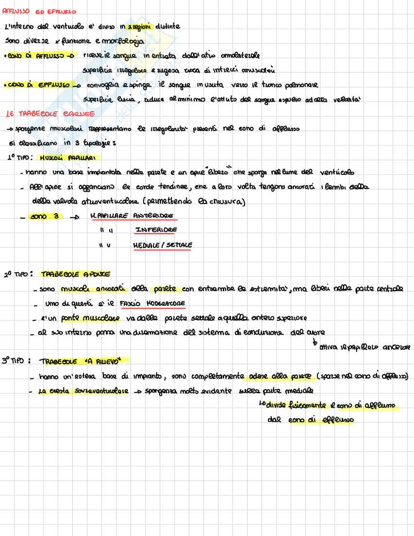 Cuore Pag. 6