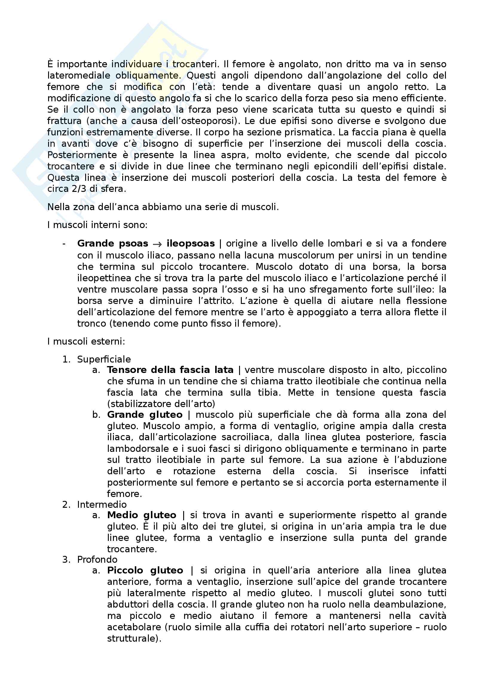 Arto inferiore Pag. 6