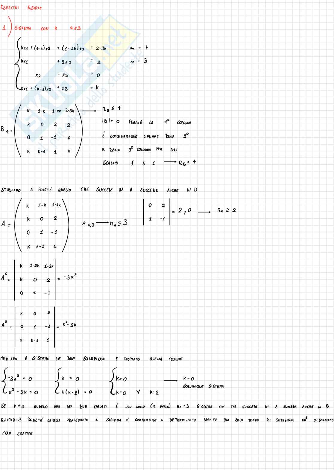 Matematica per l'economia - Esercizi svolti Pag. 1