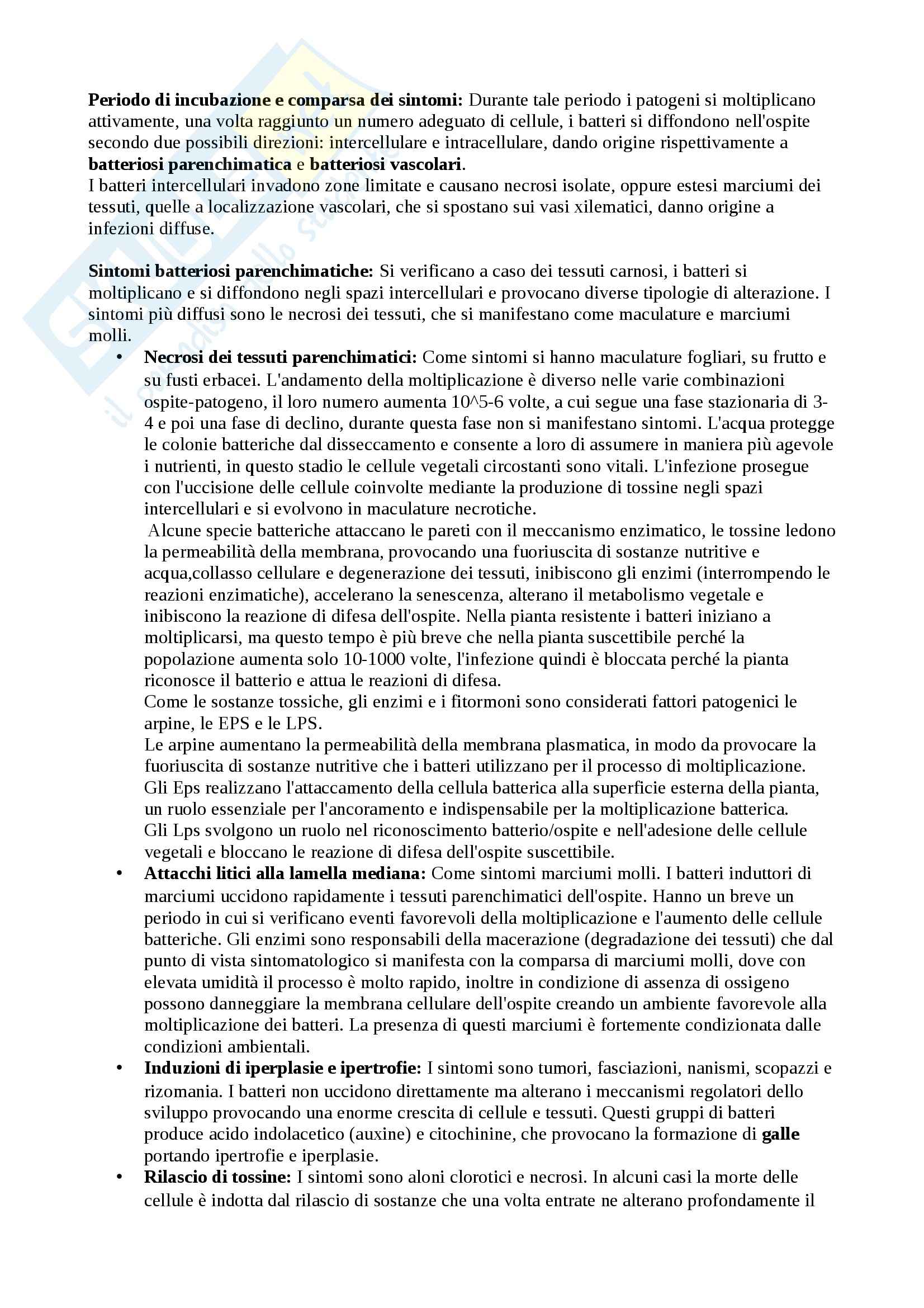 Riassunto esame Patologia Vegetale, prof. Agosteo Pag. 11