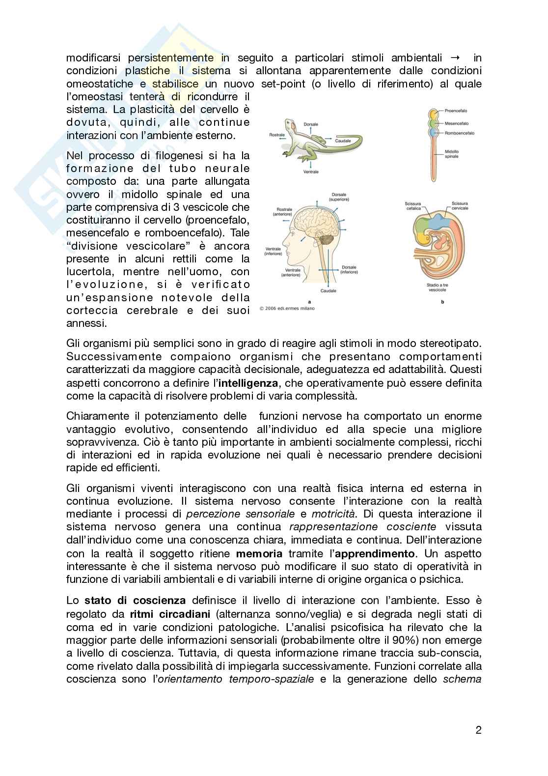 Fisiologia umana Pag. 2