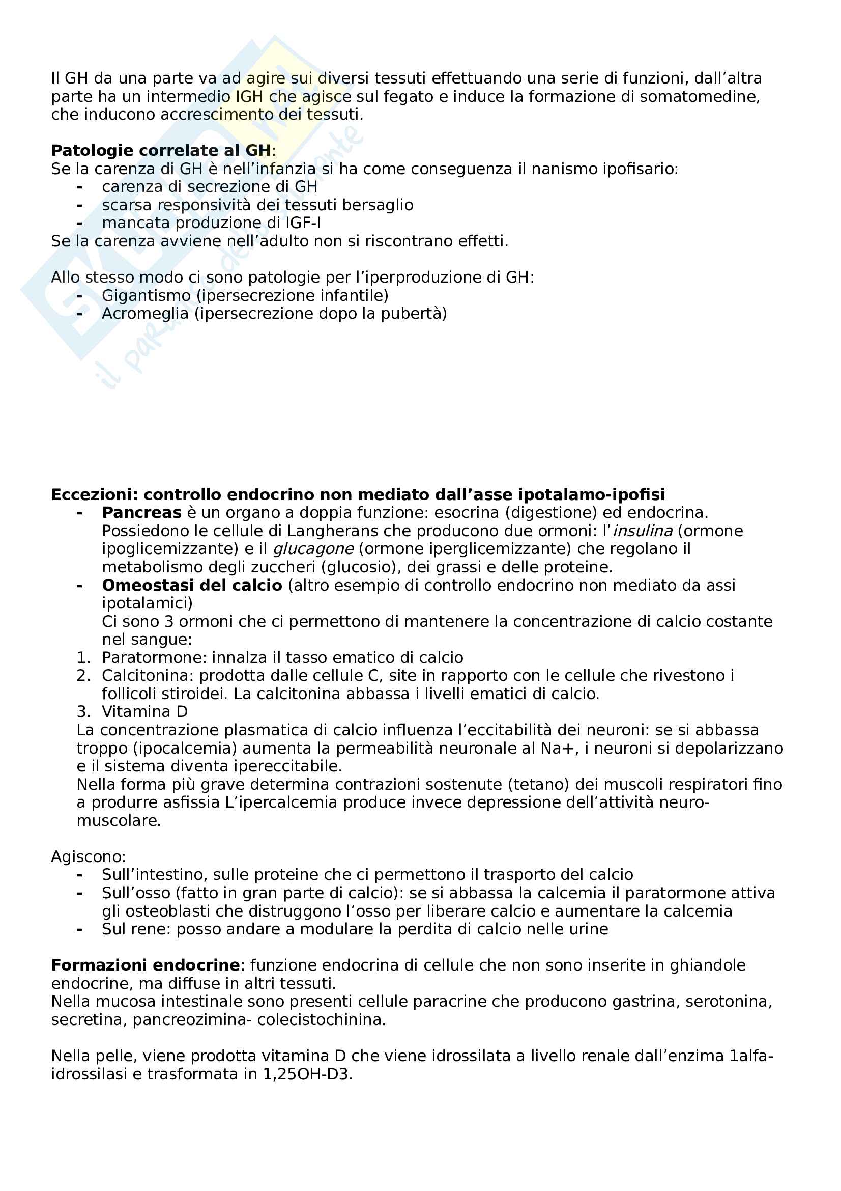 Sistema endocrino Pag. 6