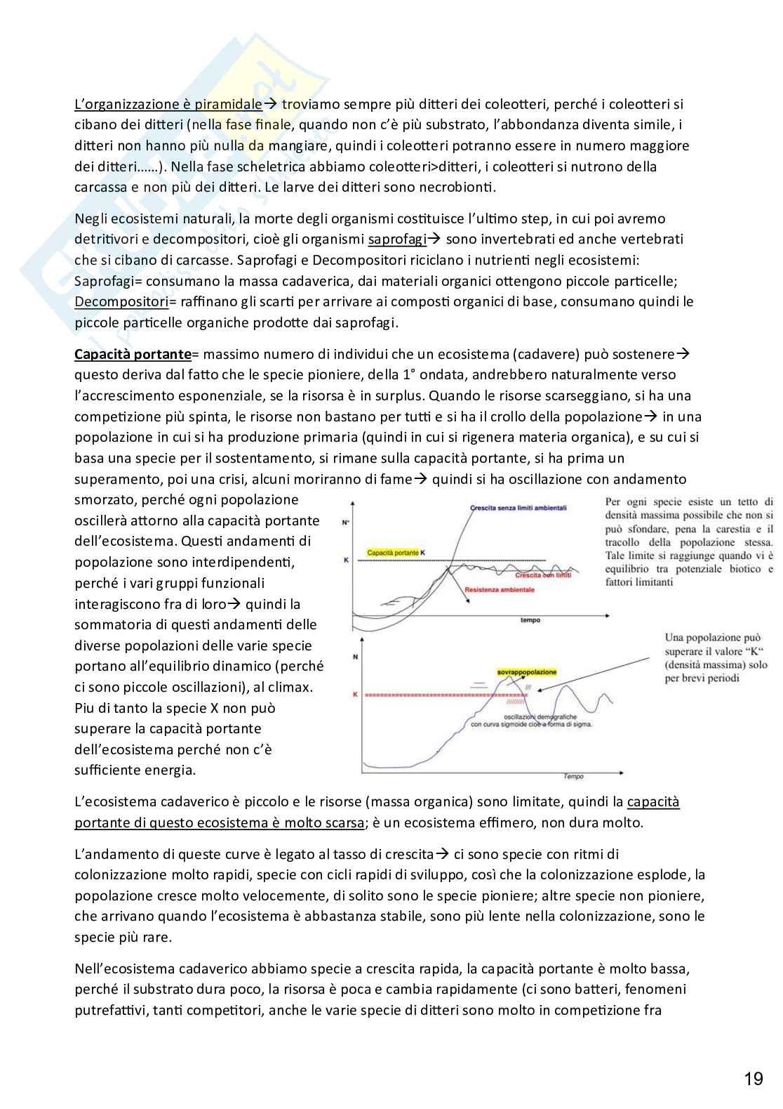 Zoologia applicata alle scienze forensi, completo Pag. 21