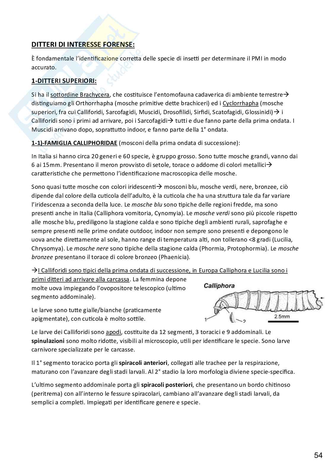 Zoologia applicata alle scienze forensi, completo Pag. 56