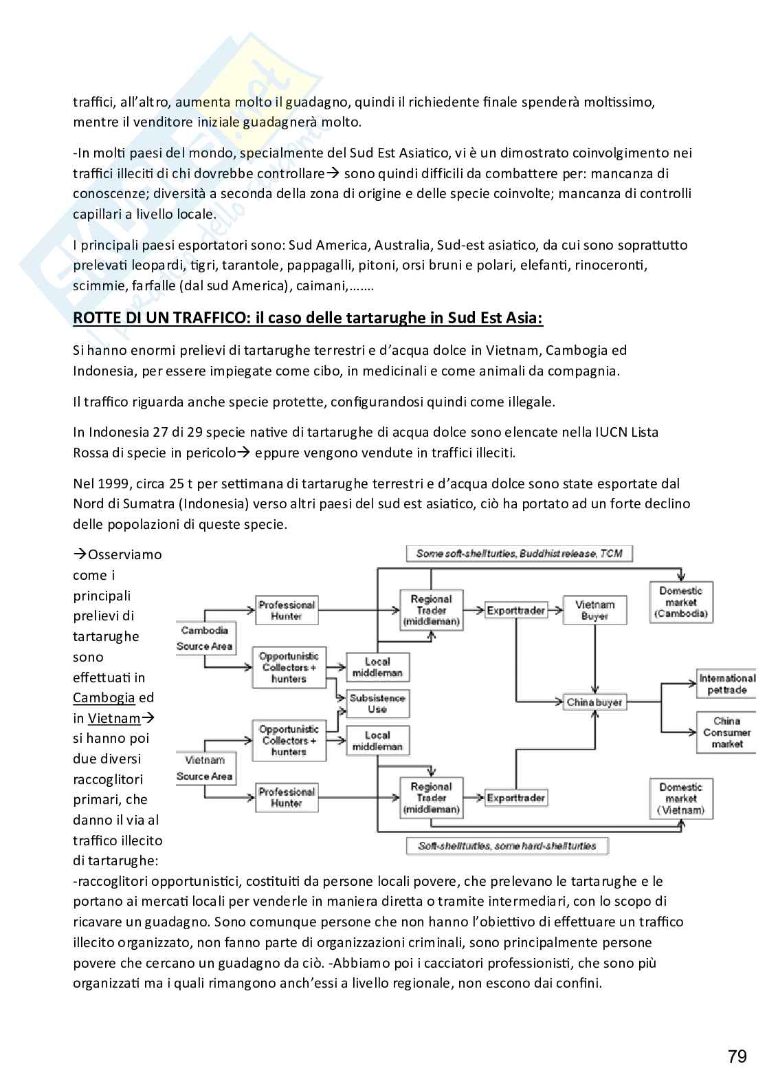 Zoologia applicata alle scienze forensi, completo Pag. 81