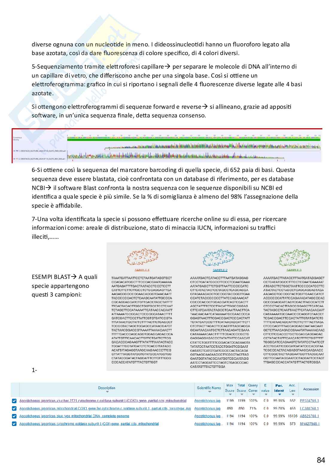 Zoologia applicata alle scienze forensi, completo Pag. 86