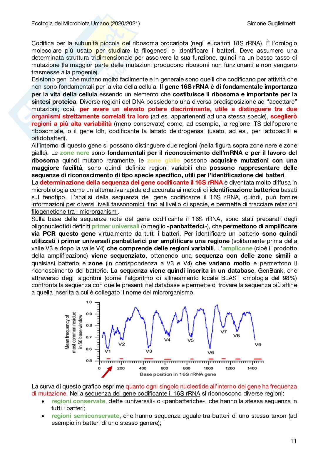 Ecologia del microbiota umano Pag. 11