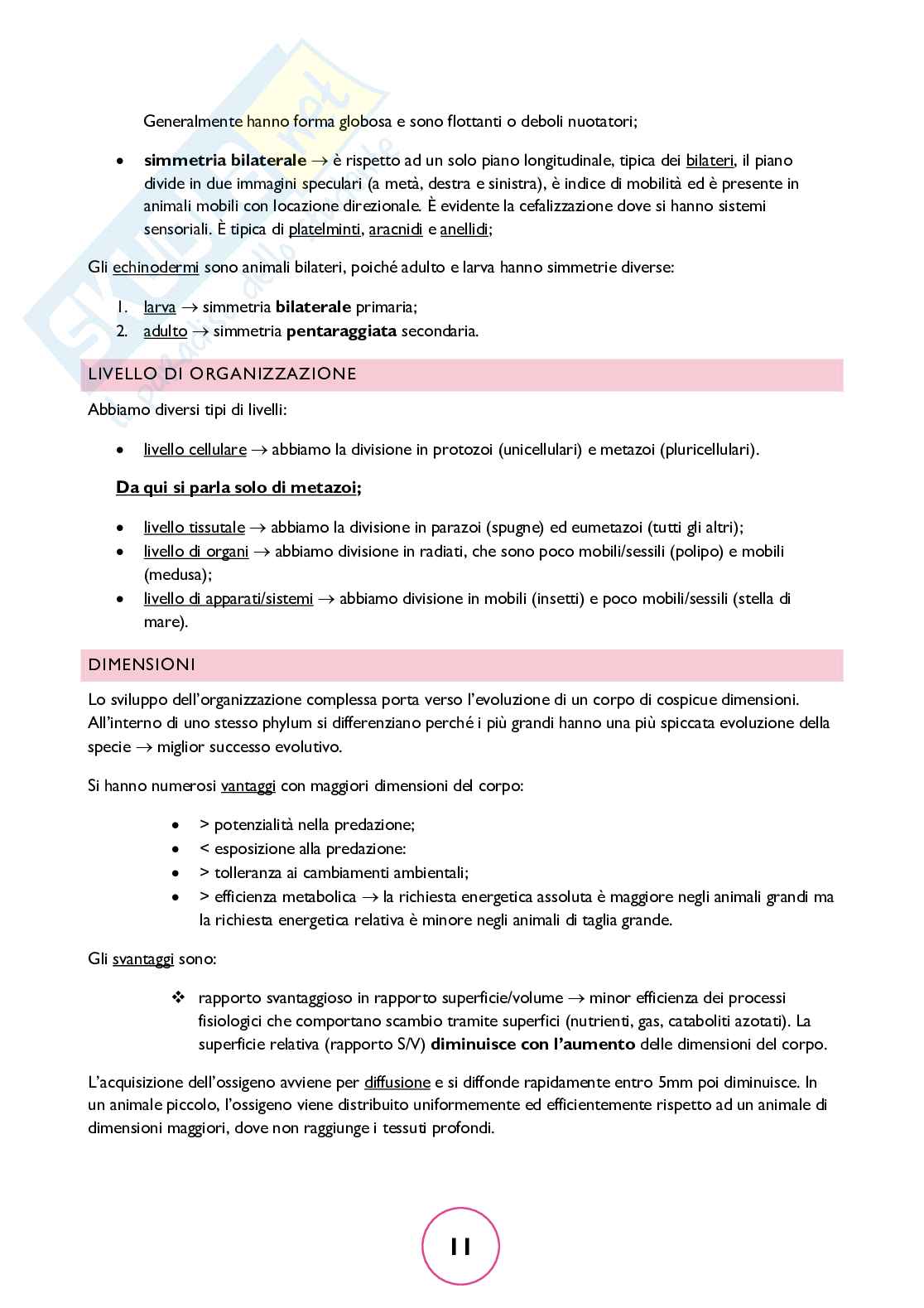 Zoologia generale Pag. 11
