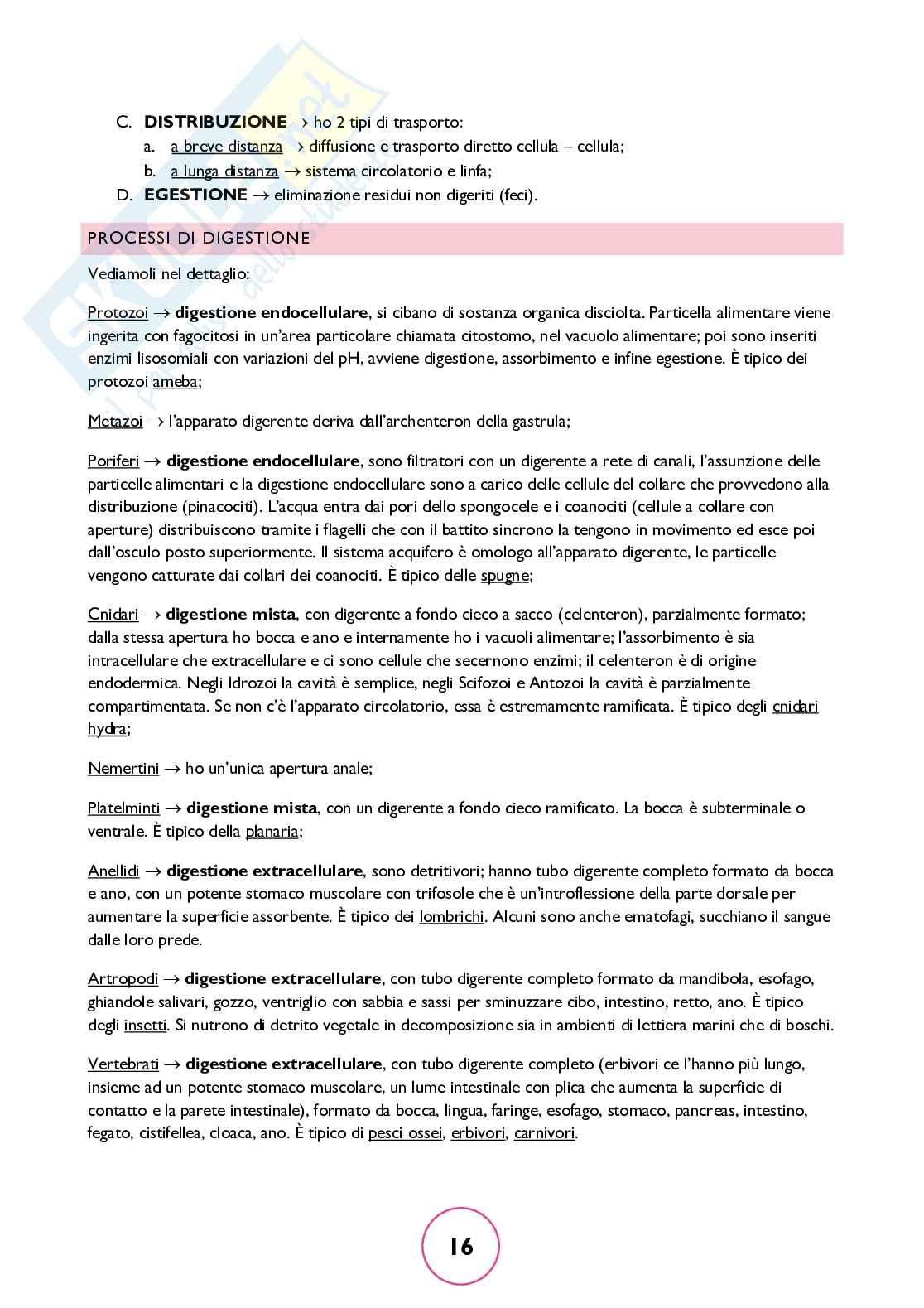 Zoologia generale Pag. 16