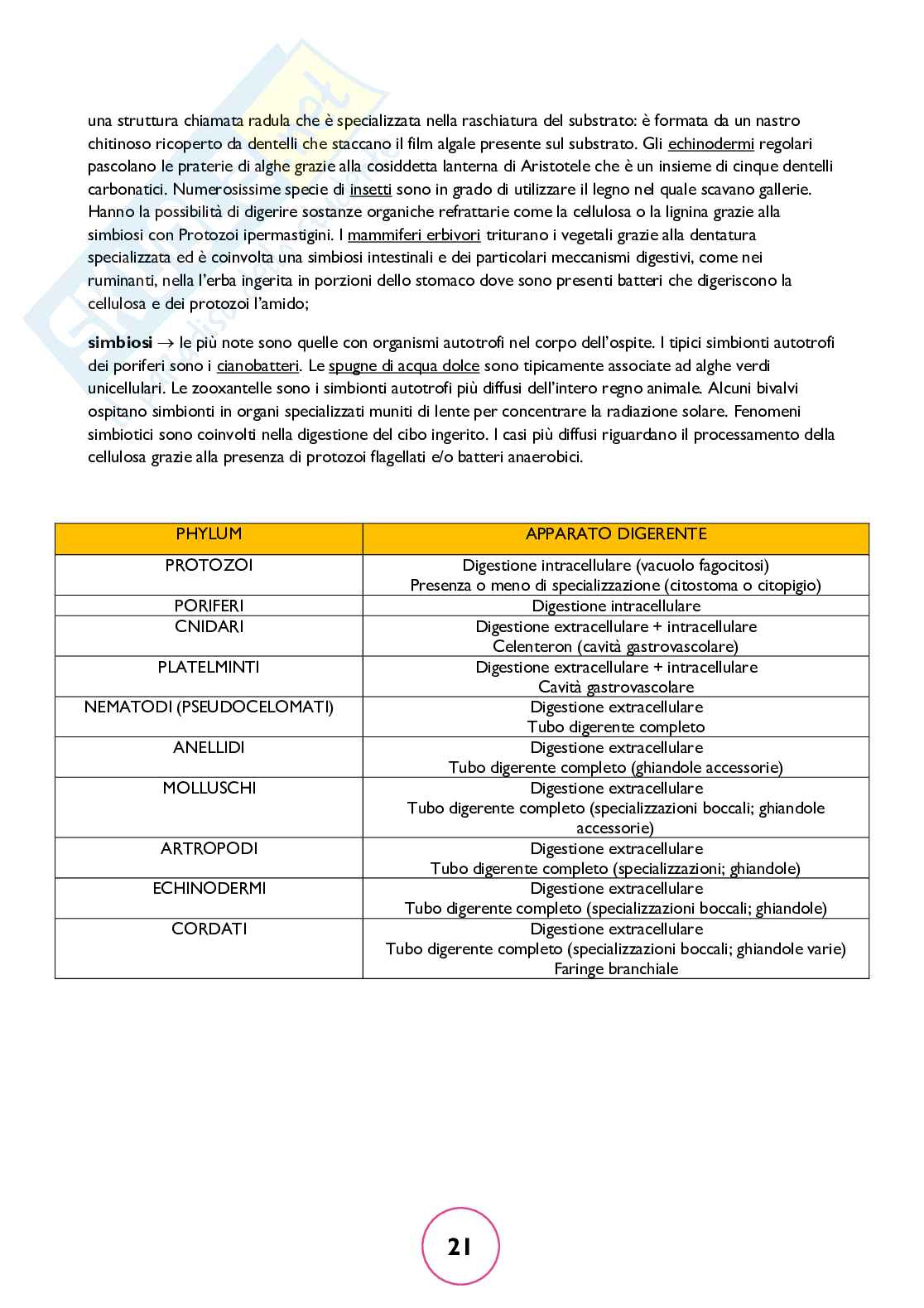 Zoologia generale Pag. 21