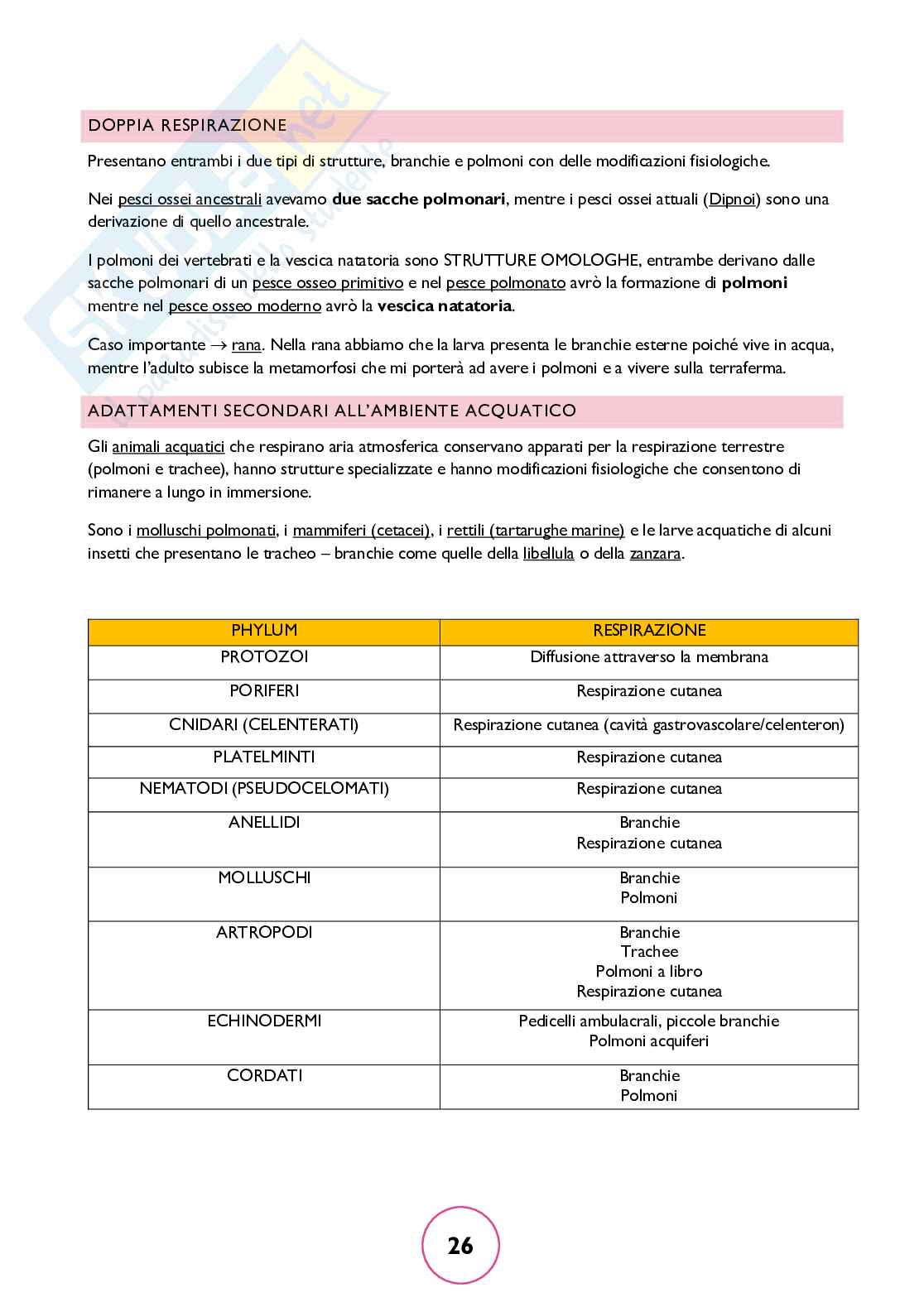 Zoologia generale Pag. 26