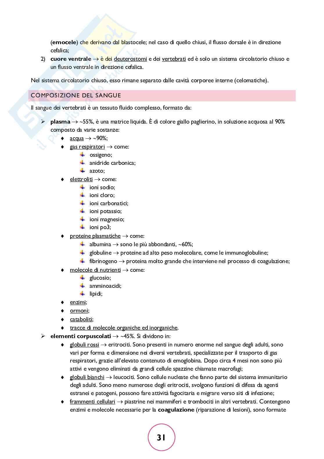 Zoologia generale Pag. 31