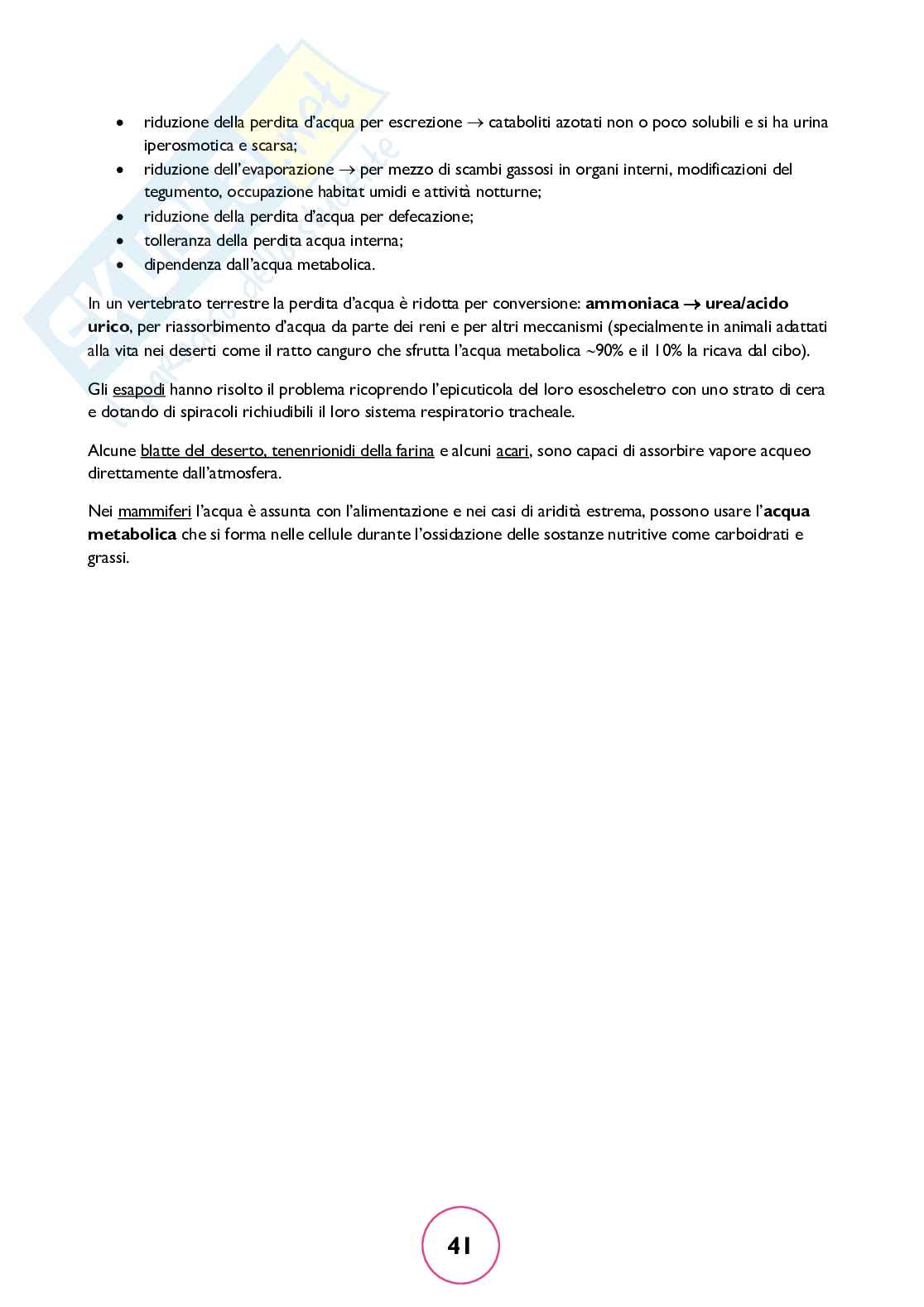 Zoologia generale Pag. 41