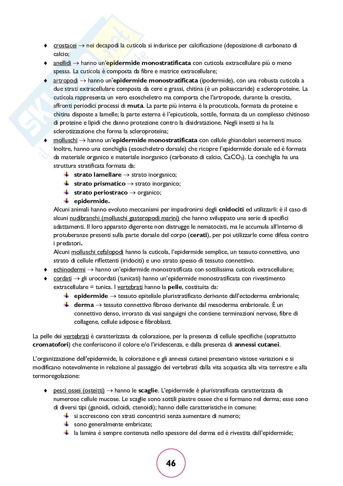 Zoologia generale Pag. 46