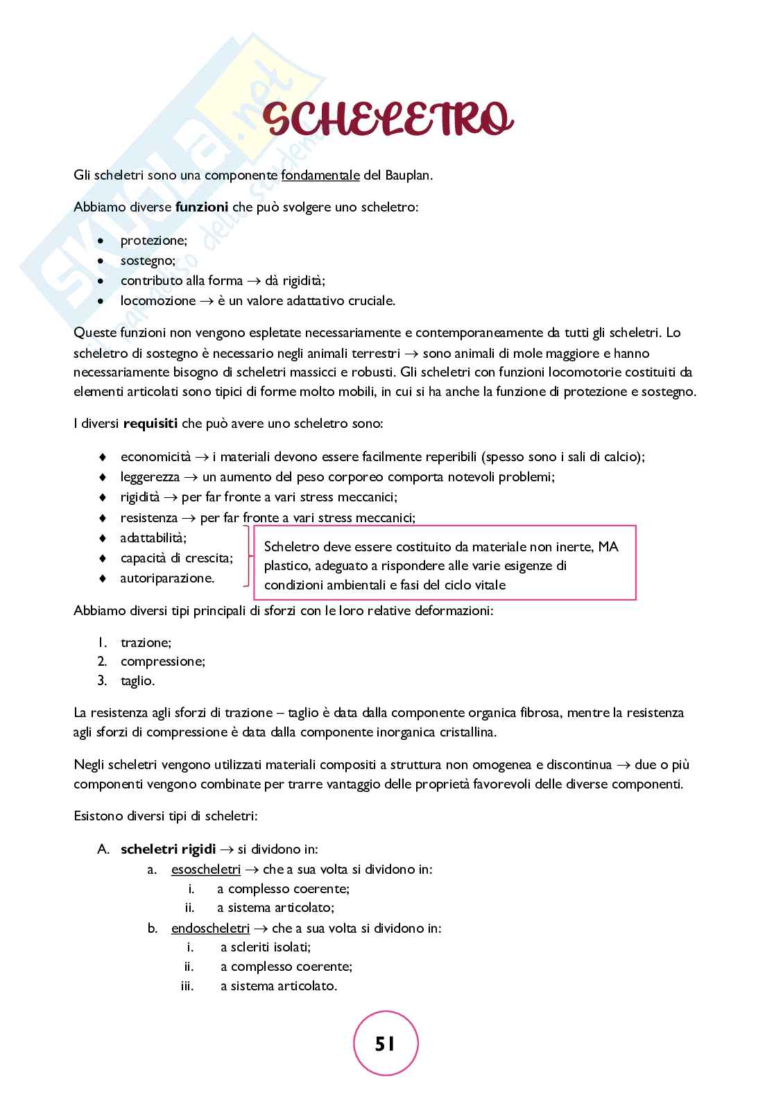 Zoologia generale Pag. 51