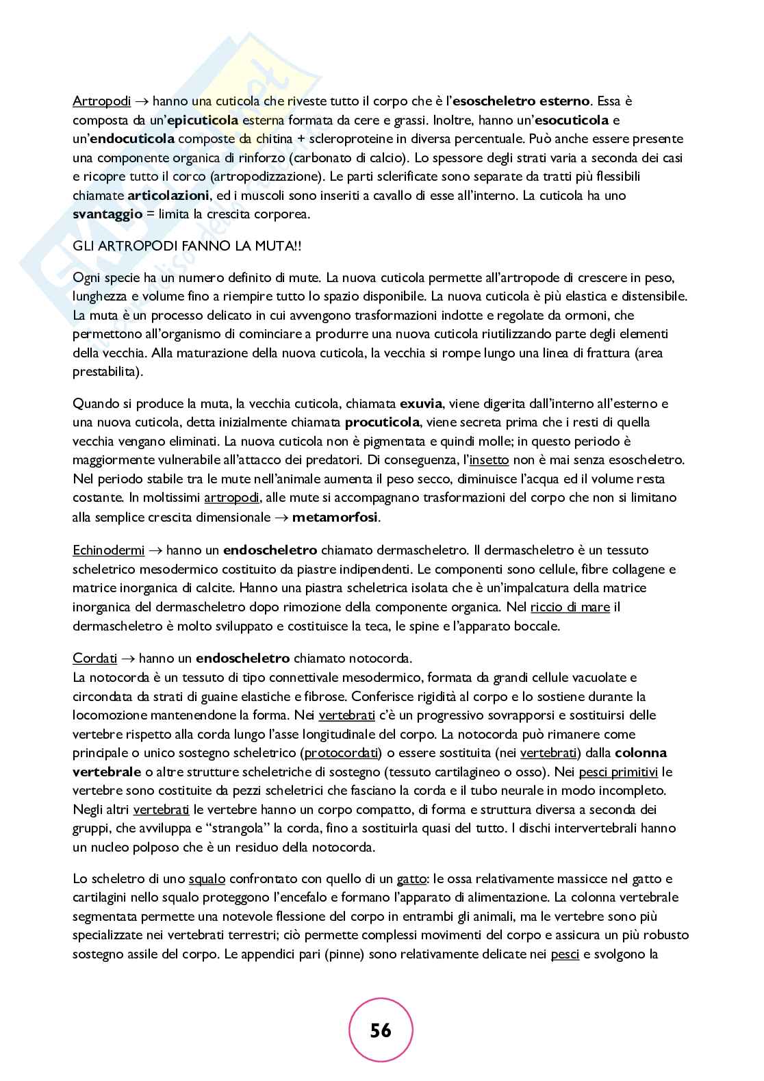 Zoologia generale Pag. 56