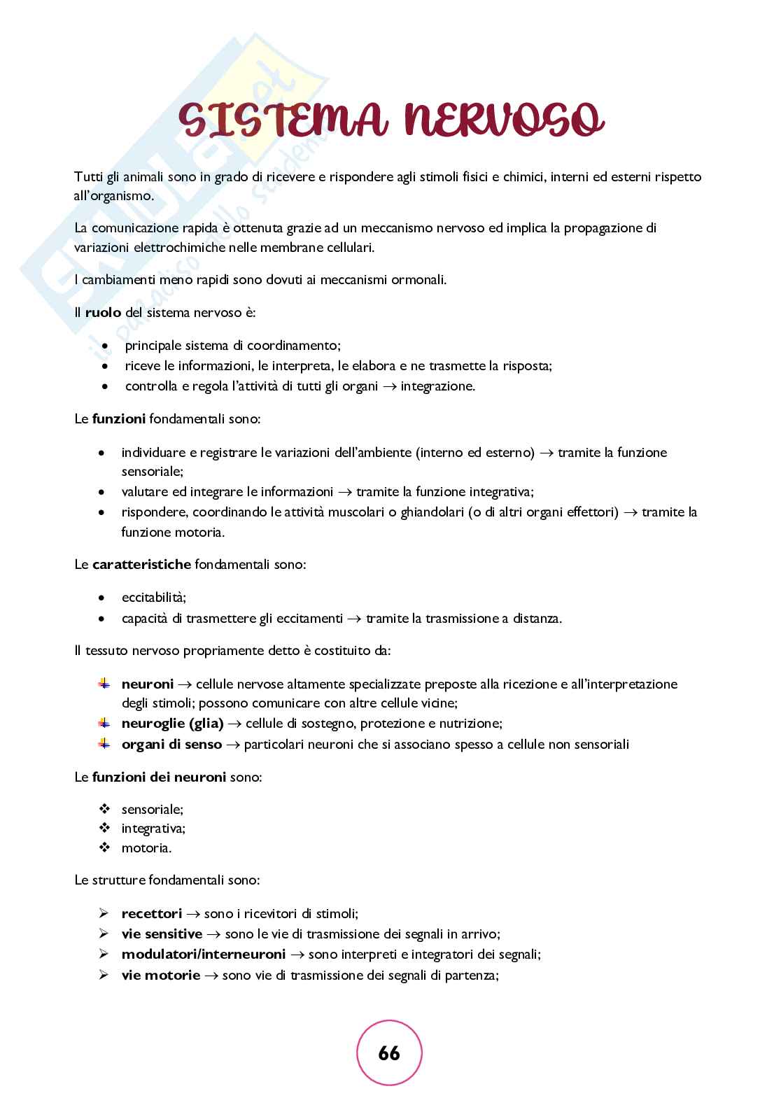 Zoologia generale Pag. 66