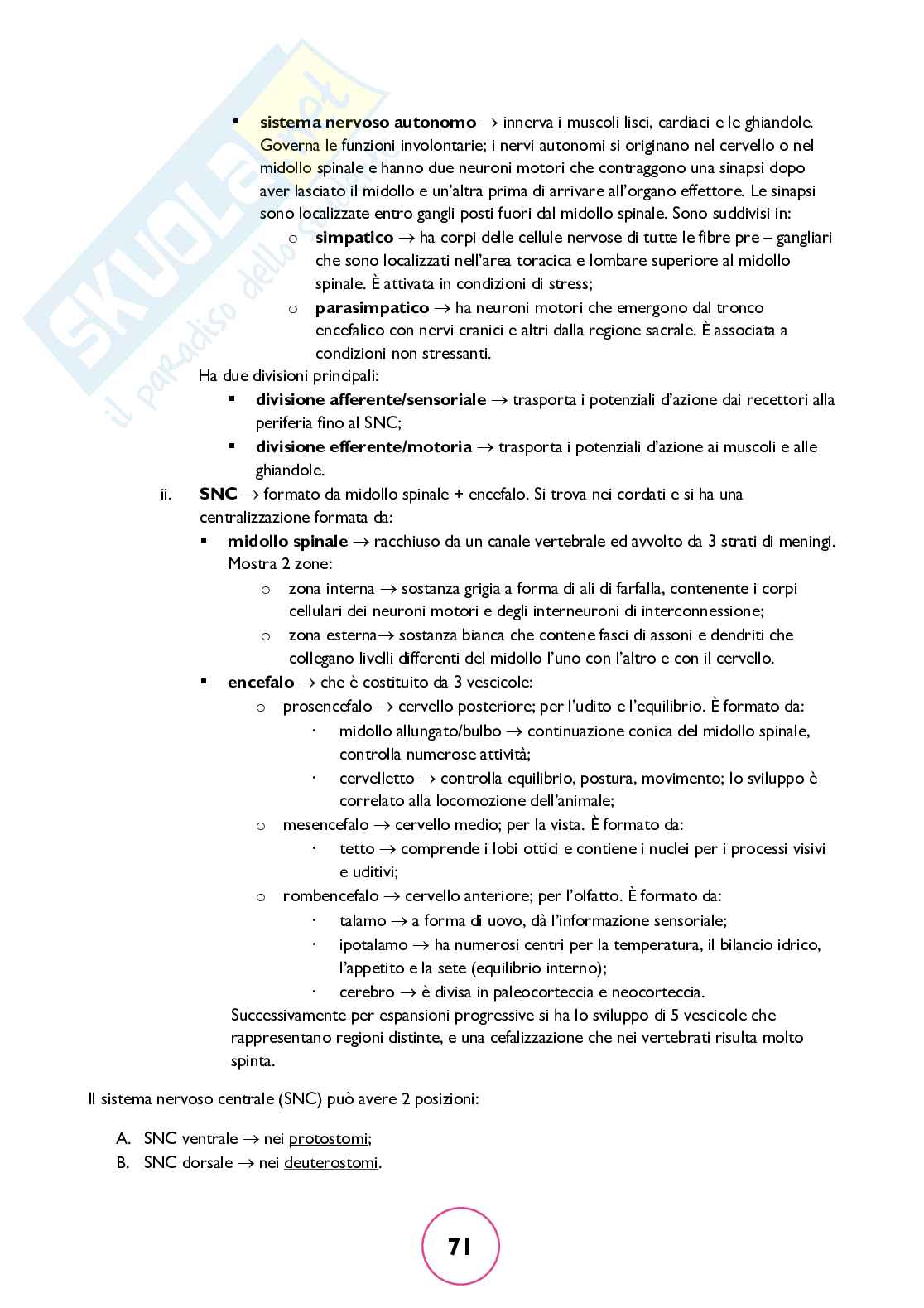 Zoologia generale Pag. 71