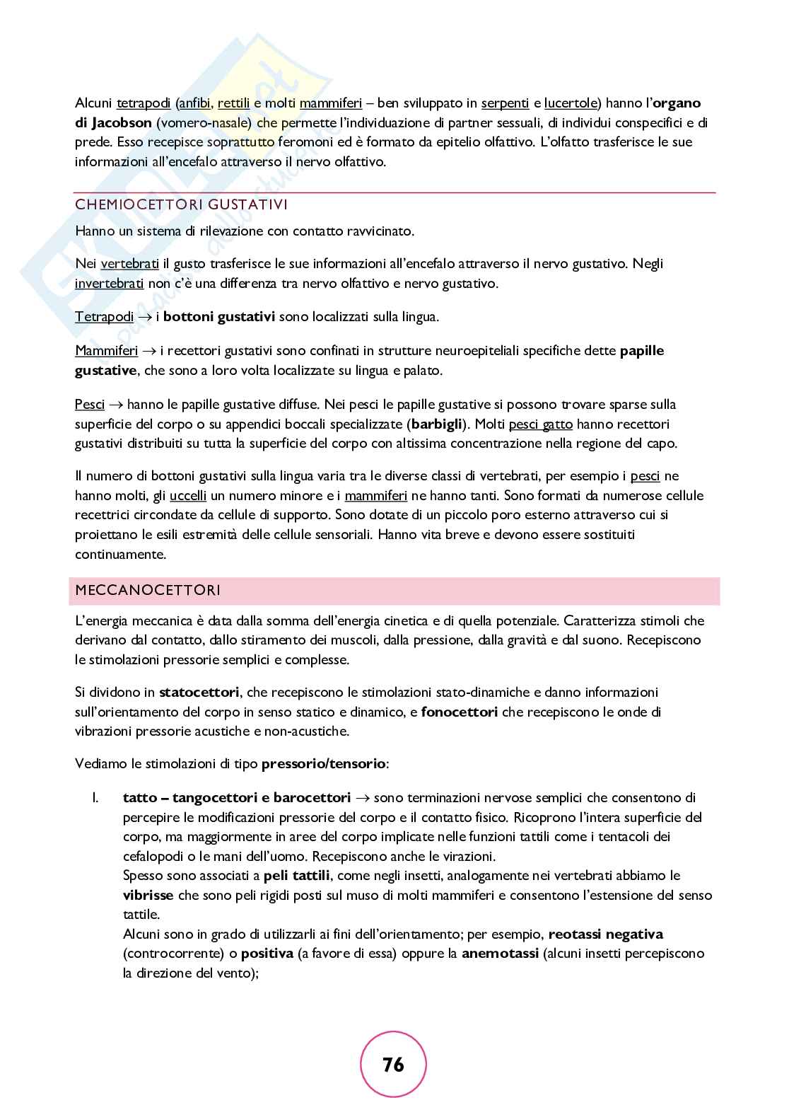 Zoologia generale Pag. 76