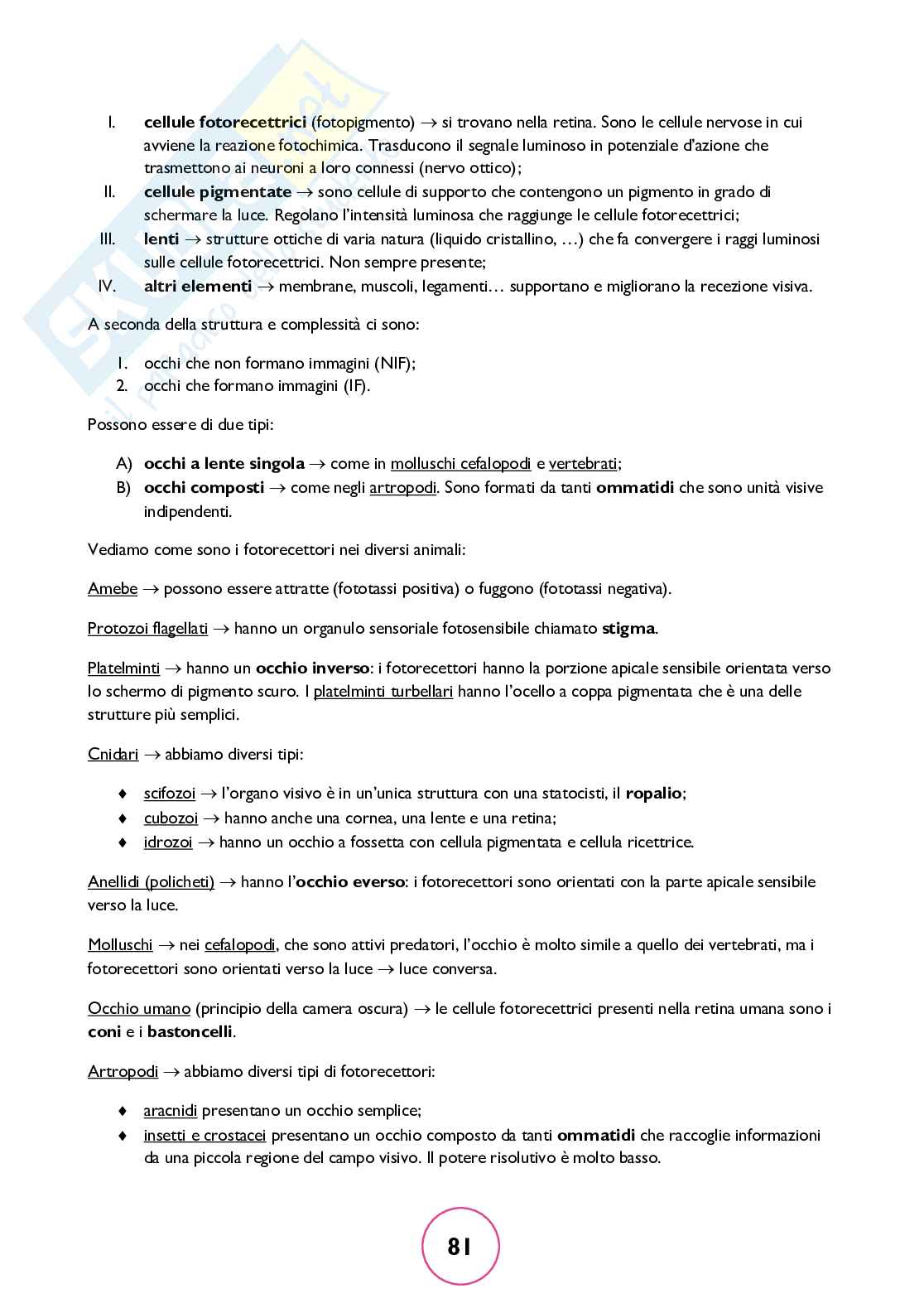 Zoologia generale Pag. 81