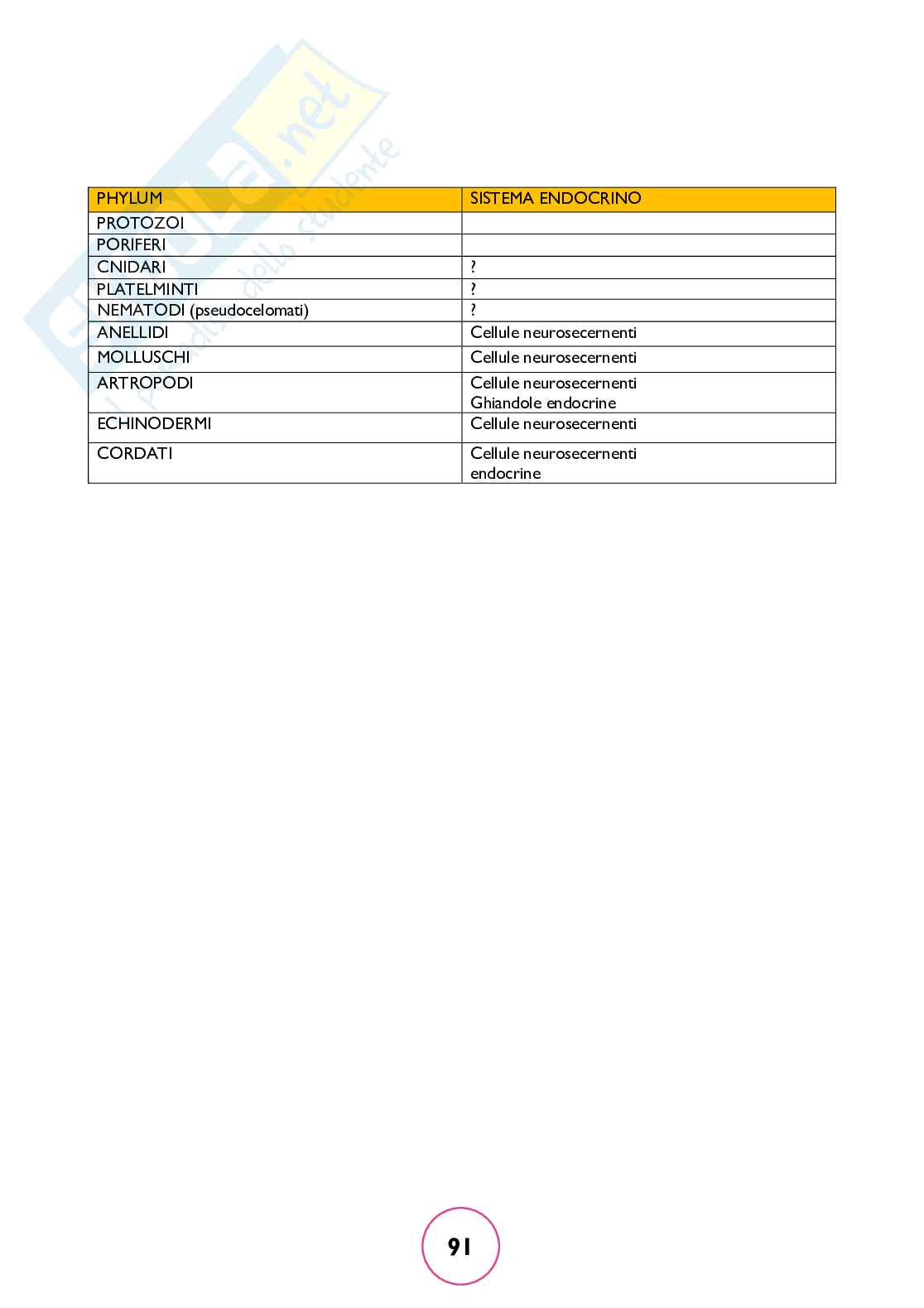Zoologia generale Pag. 91