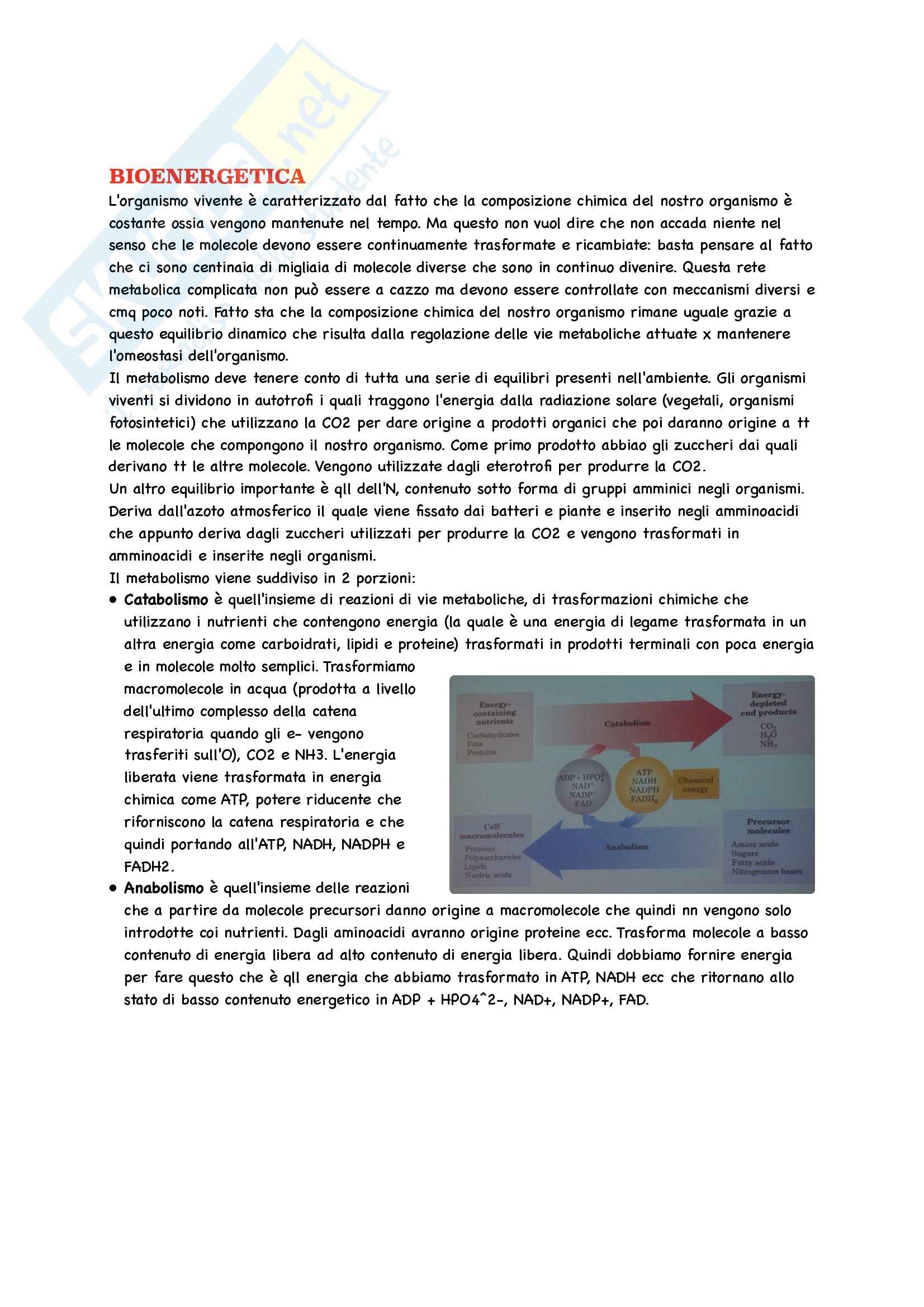 Biochimica Parte 2 Pag. 1