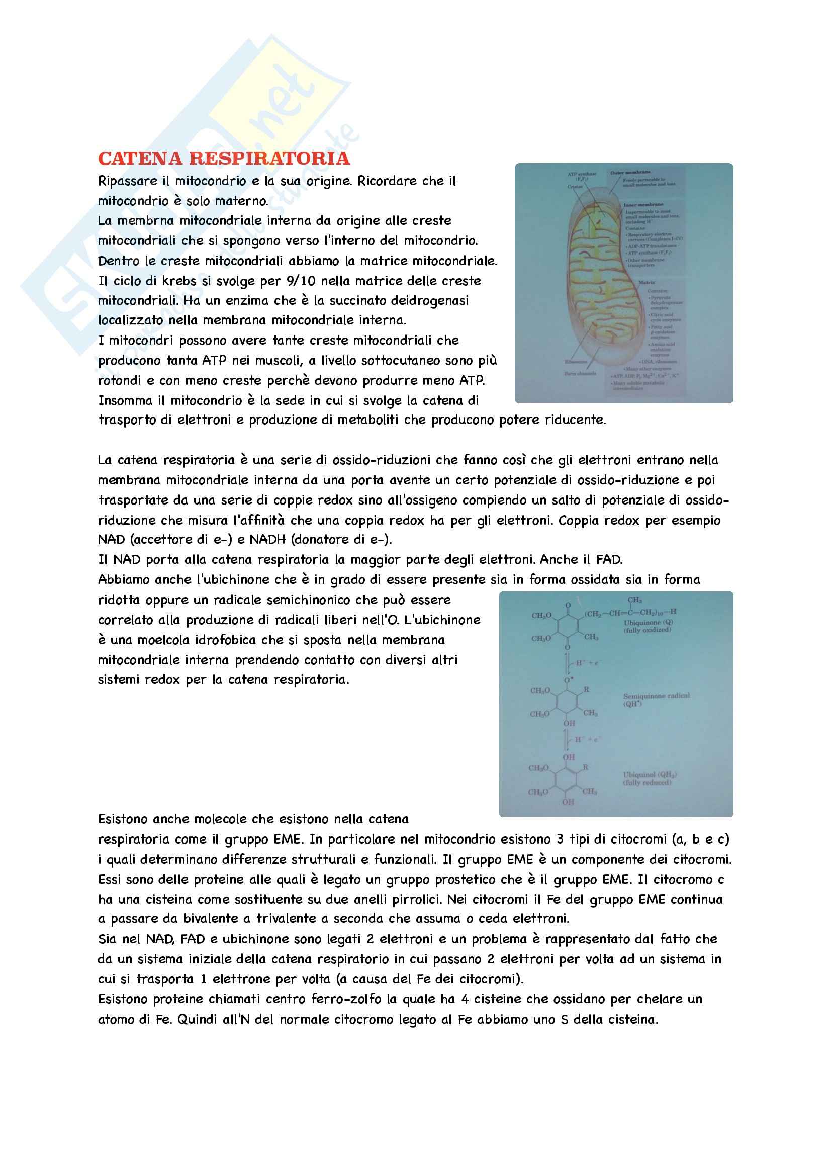 Biochimica Parte 2 Pag. 36