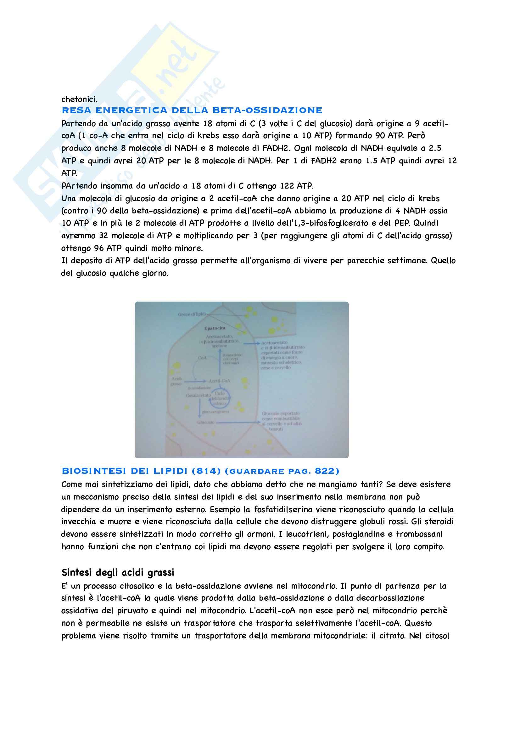 Biochimica Parte 2 Pag. 61
