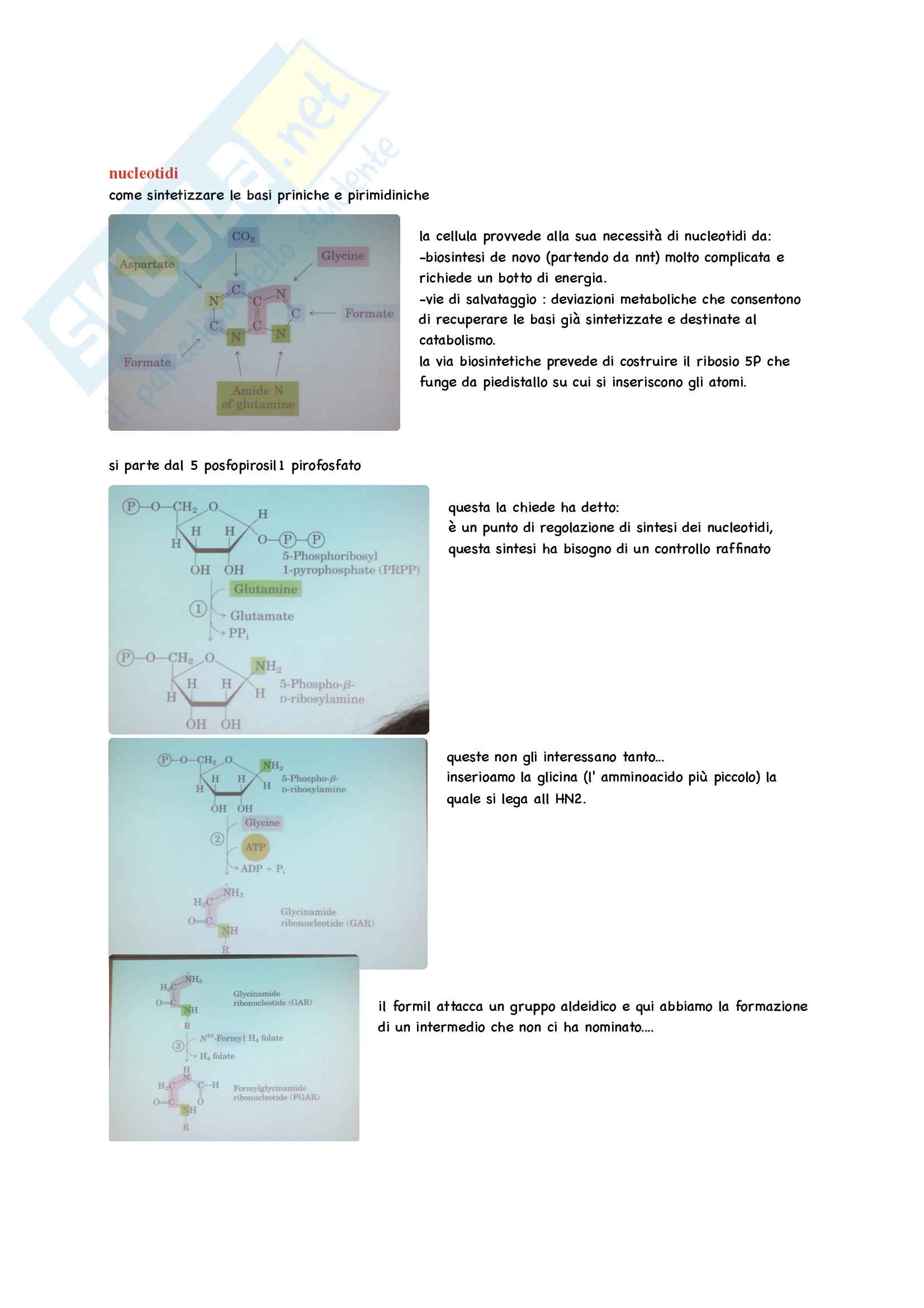 Biochimica Parte 2 Pag. 81
