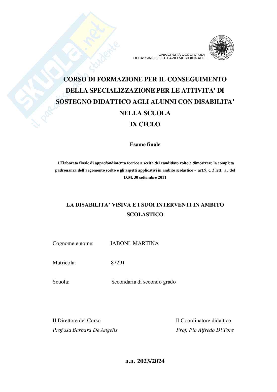 Disabilità visiva nelle scuole e interventi Pag. 1