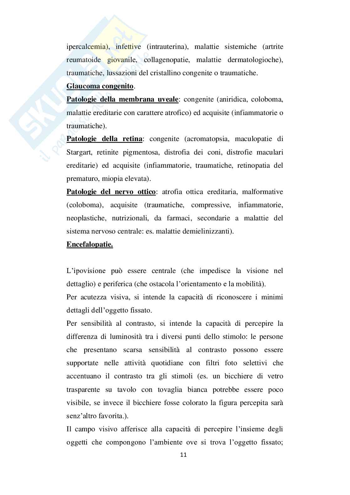 Disabilità visiva nelle scuole e interventi Pag. 11