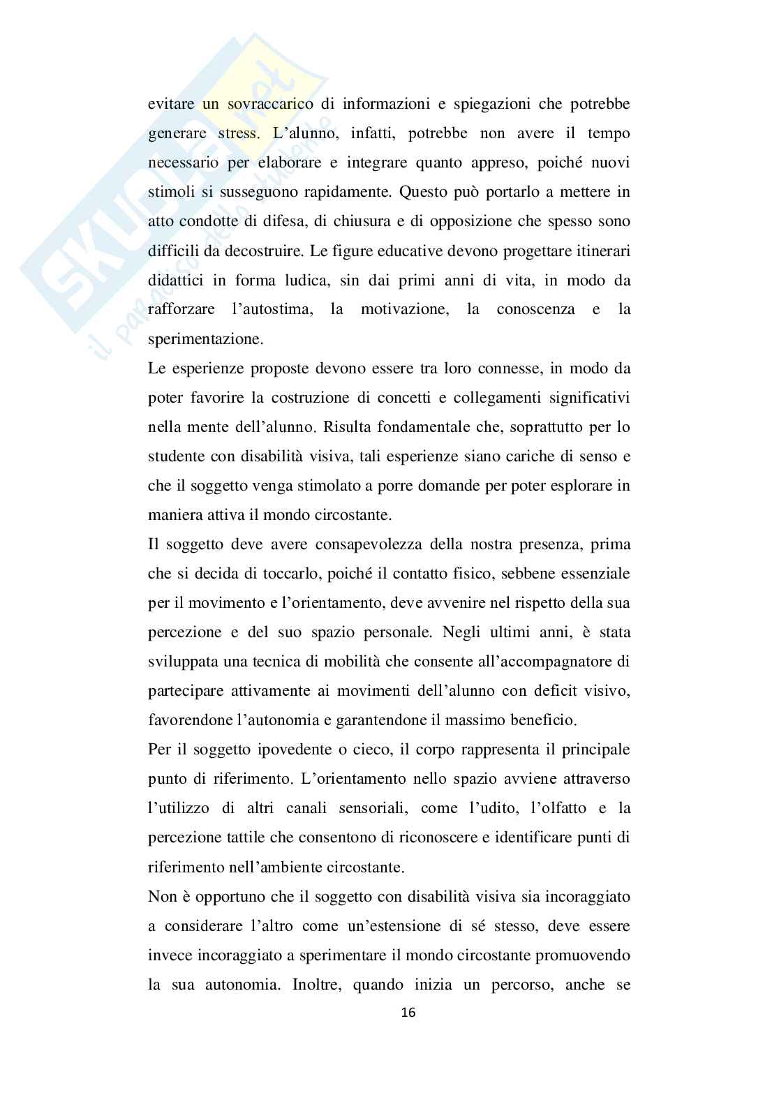 Disabilità visiva nelle scuole e interventi Pag. 16