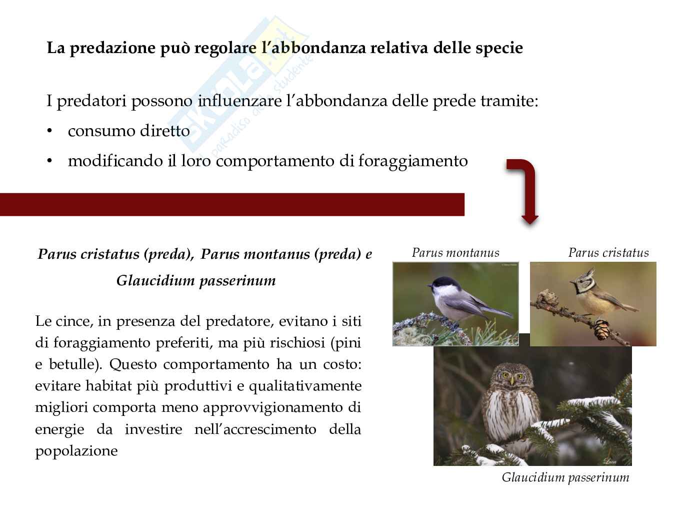 Fondamenti di scienze ambientali 3/3 Pag. 31