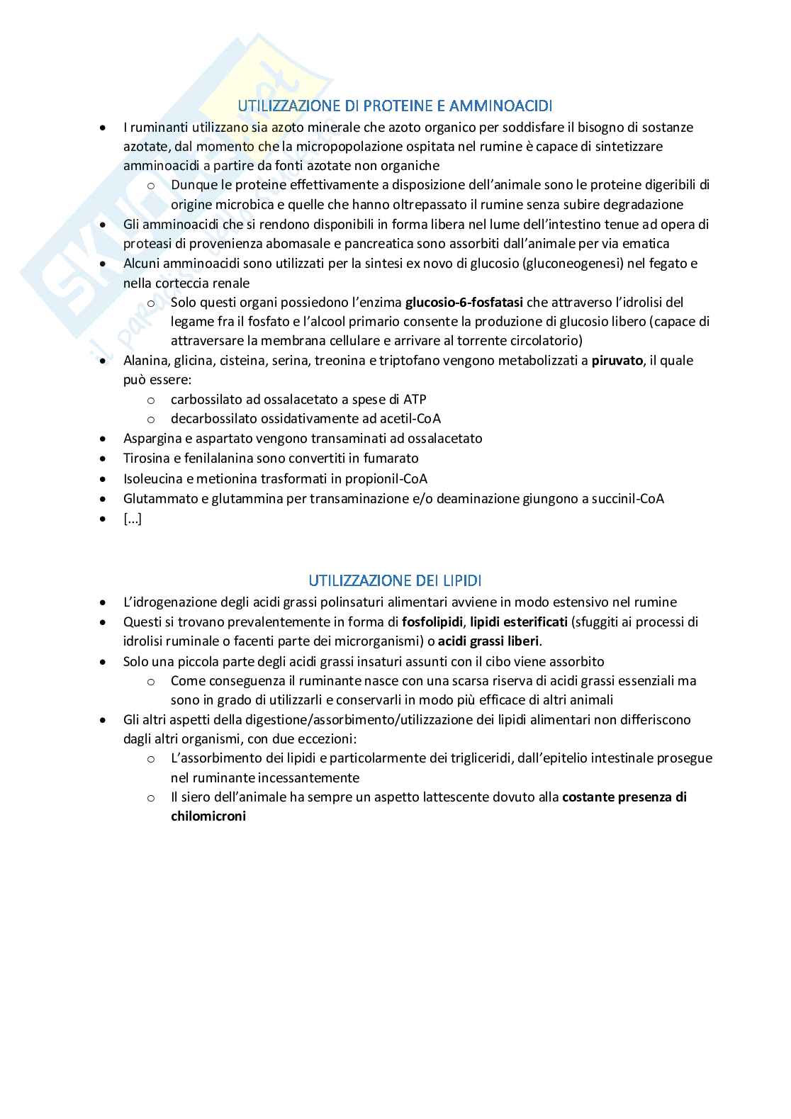 Rumine e vie metaboliche Pag. 6