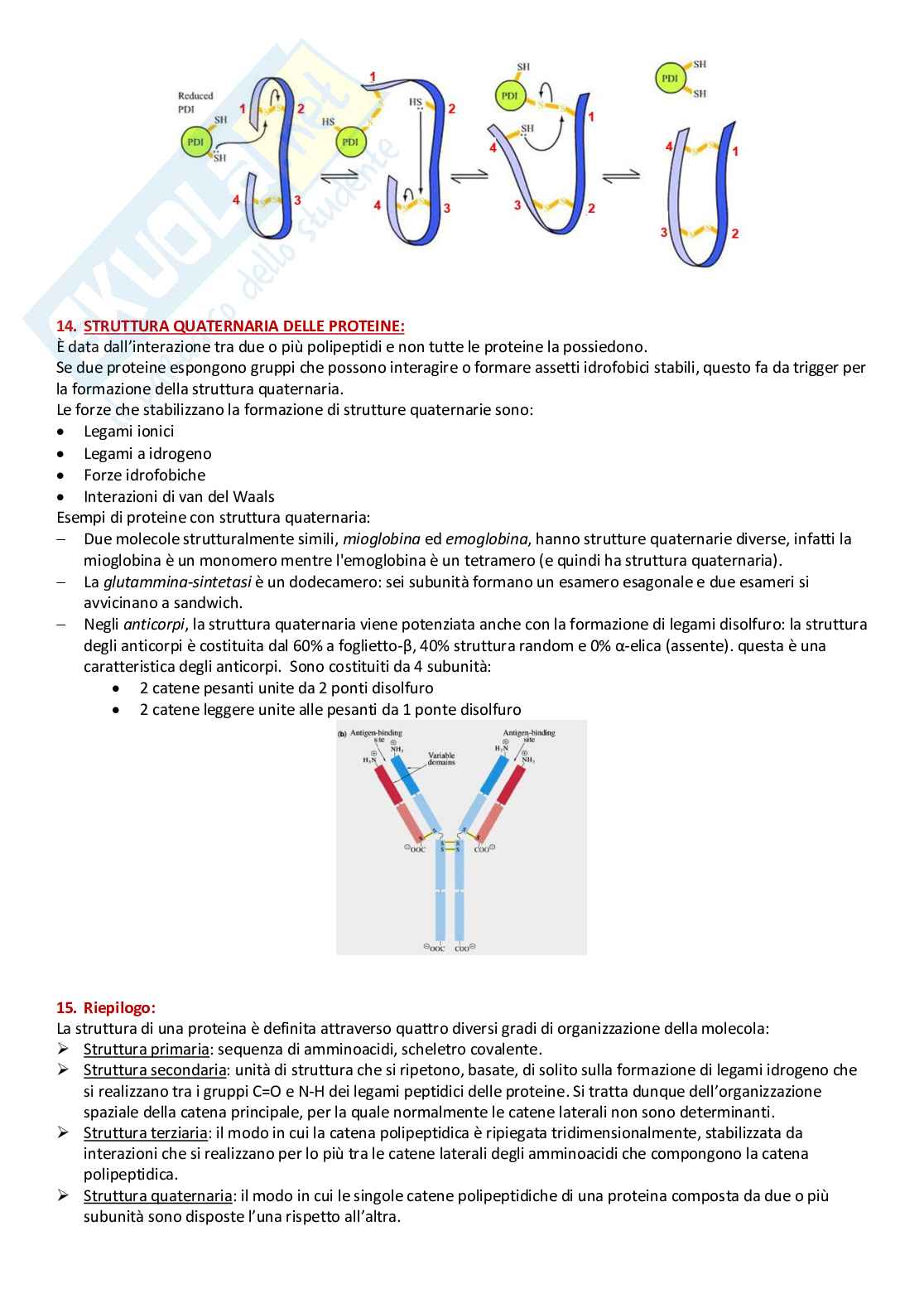 Riassunto esame Biochimica, Prof. Cappiello Mario, libro consigliato I principi di Biochimica, Lenhinger Pag. 36