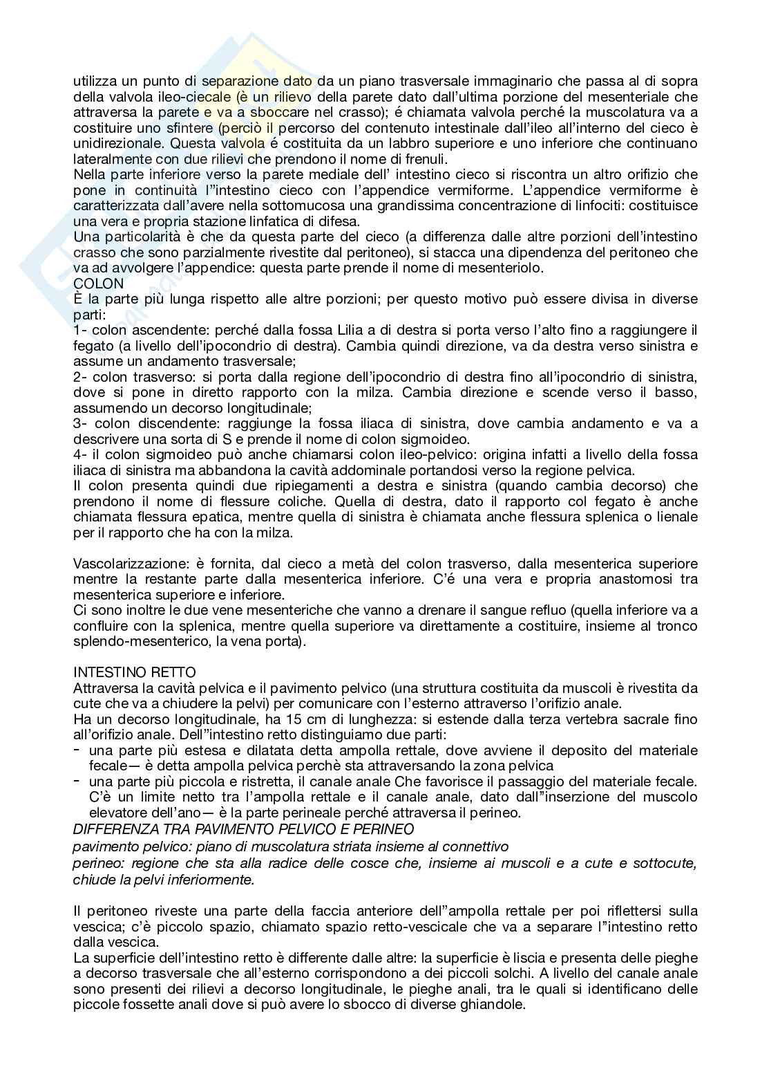 Anatomia Pag. 21