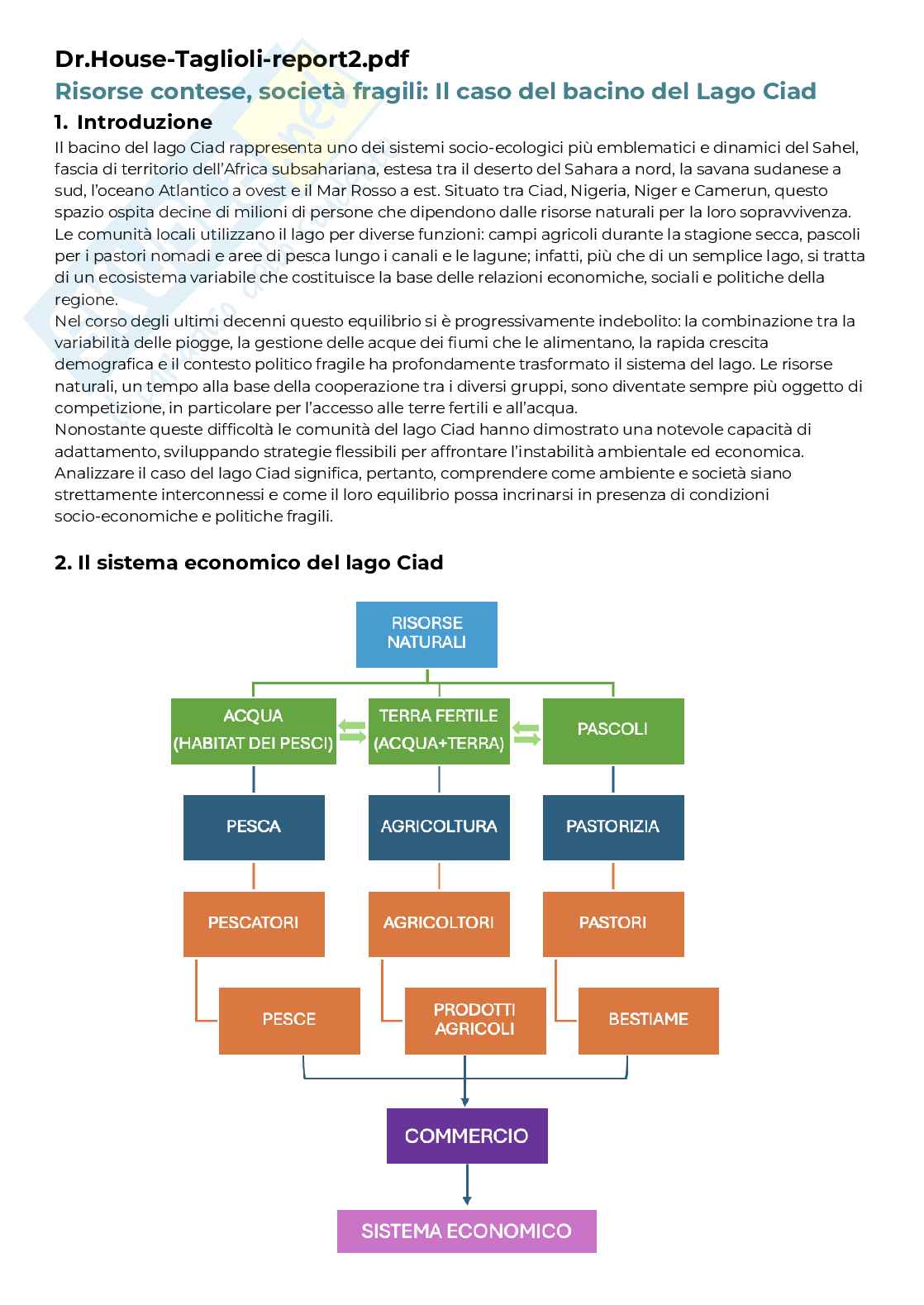 Report 2 e 3  Pag. 1