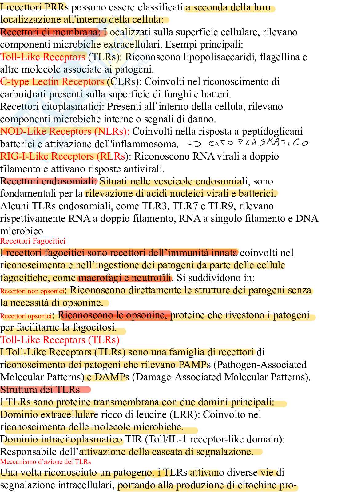 Patologia generale - Lezione 4 Pag. 2