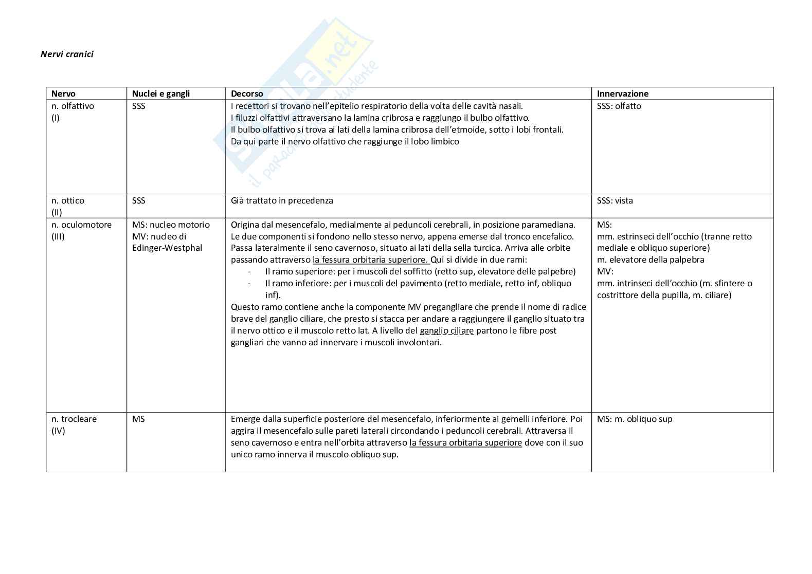 Nervi cranici Pag. 1