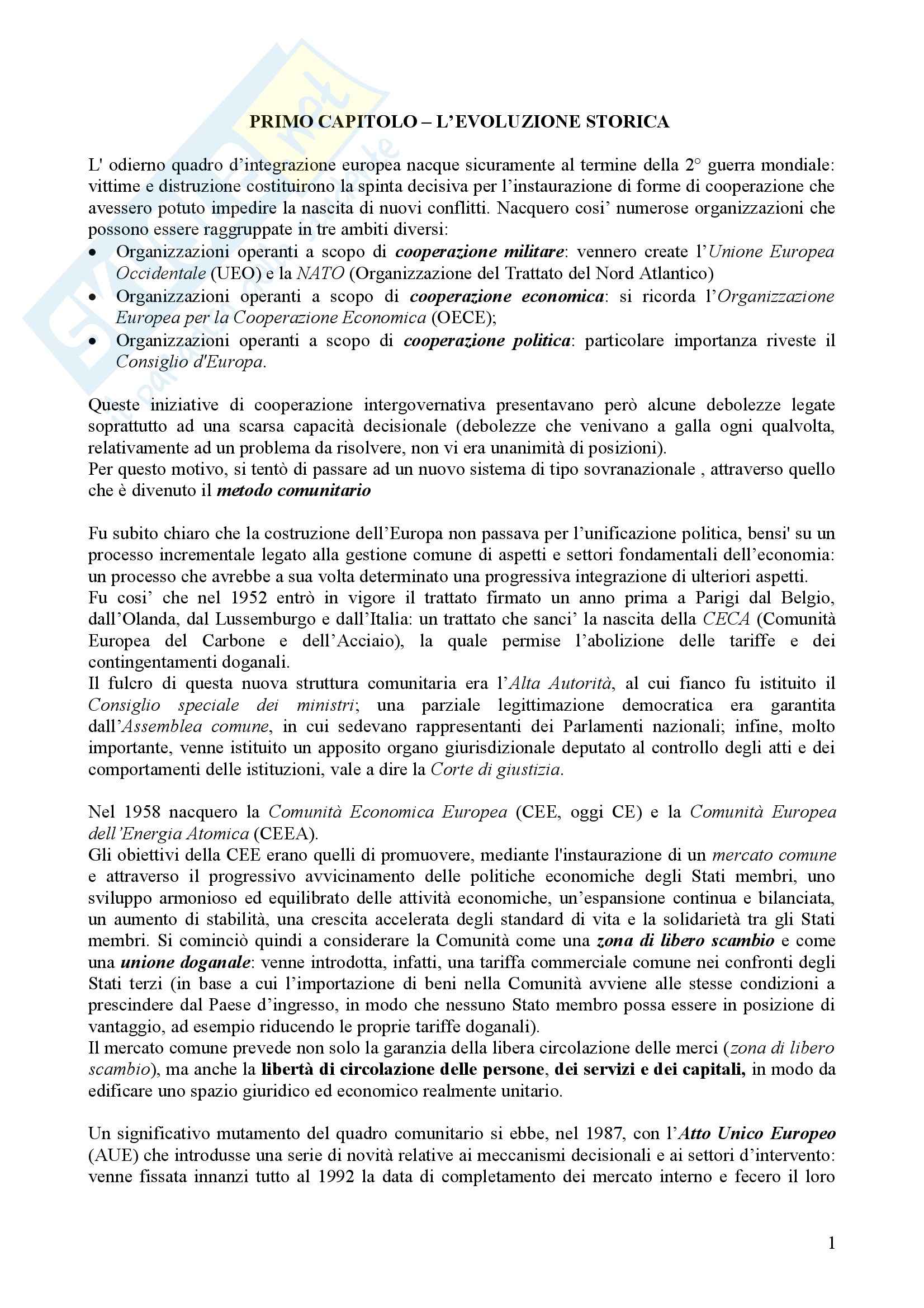 Riassunto esame Diritto dell'Unione Europea, prof.